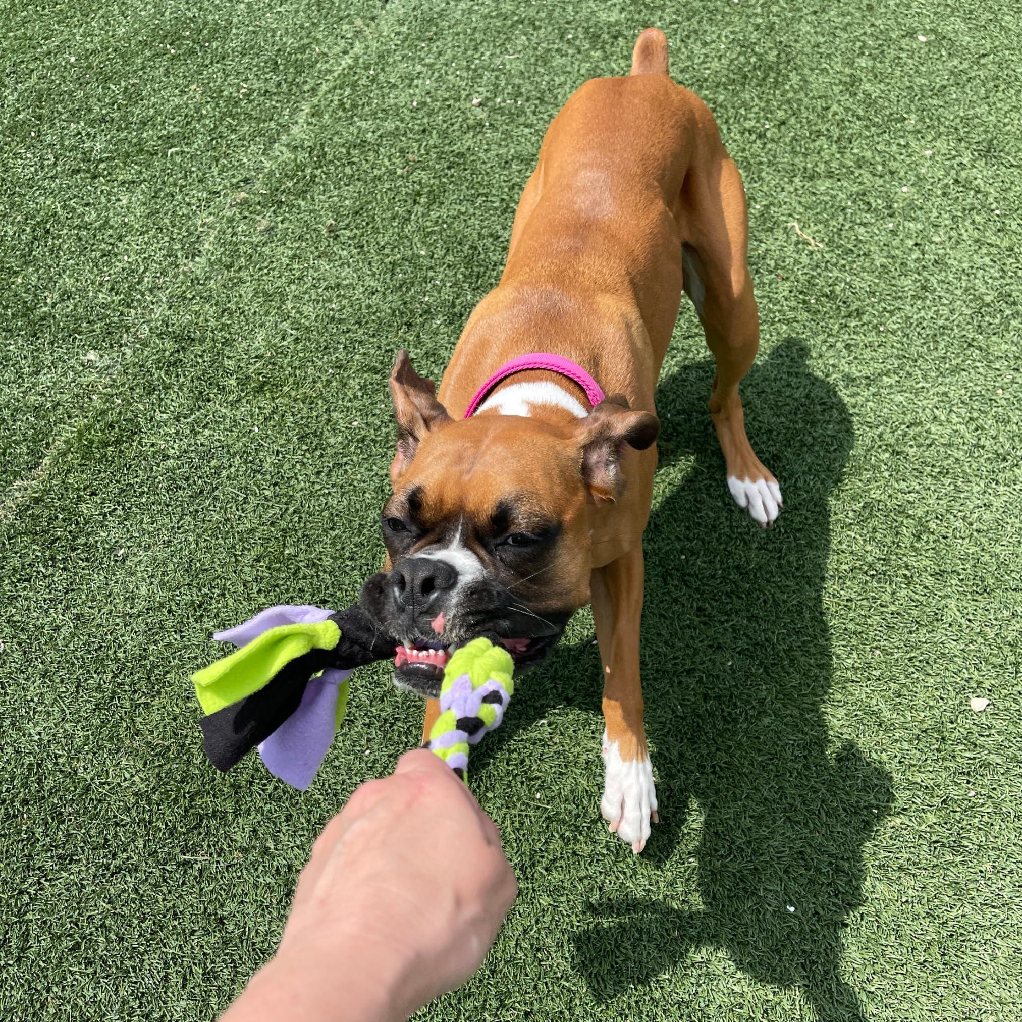 Interactive Tug & Treat-Dispenser Toy for Dogs Teething Relief Lavender Interactive Tug & Treat-Dispenser Toy for Dogs Teething Relief Lavender