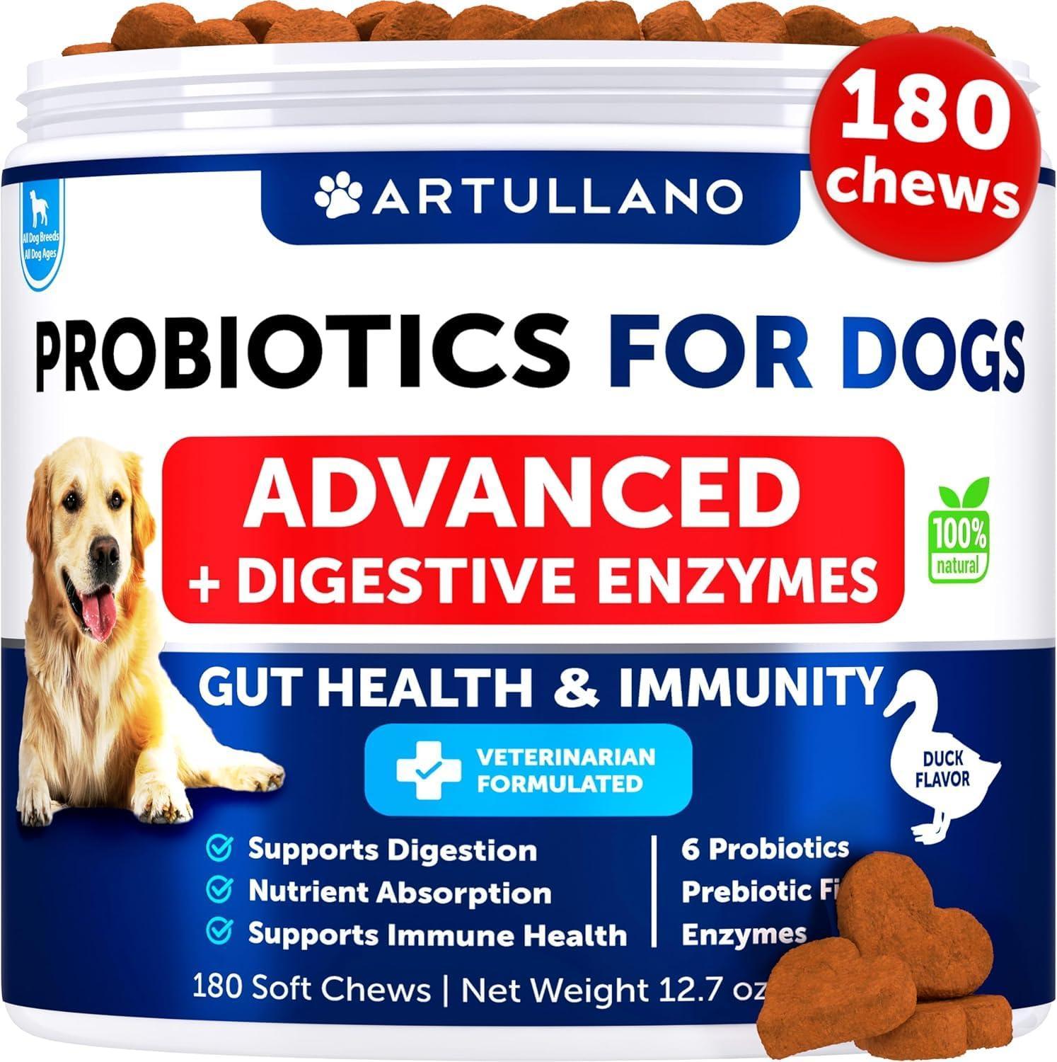 Probiotics for Dogs Gut Health Itchy Skin & Immune Support Probiotics for Dogs Gut Health Itchy Skin & Immune Support