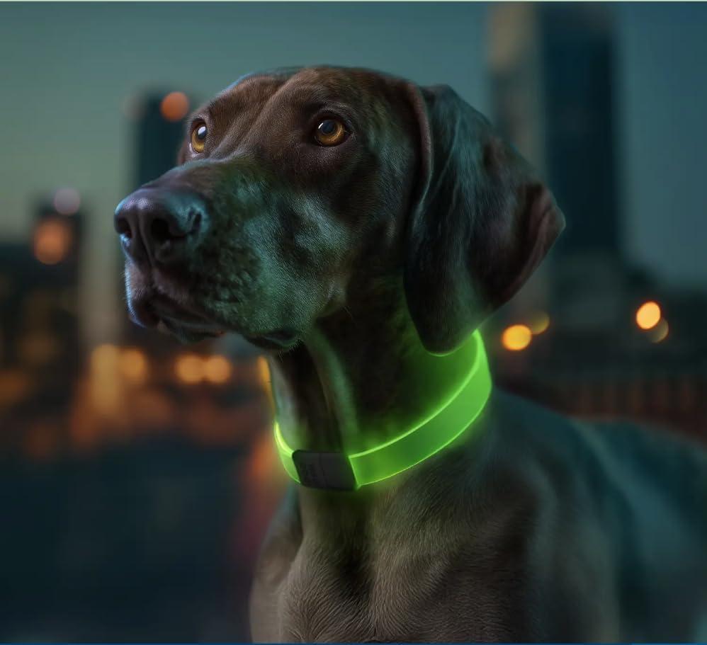 LED Dog Collar Waterproof USB Rechargeable Glow in the Dark Universal Size LED Dog Collar Waterproof USB Rechargeable Glow in the Dark Universal Size