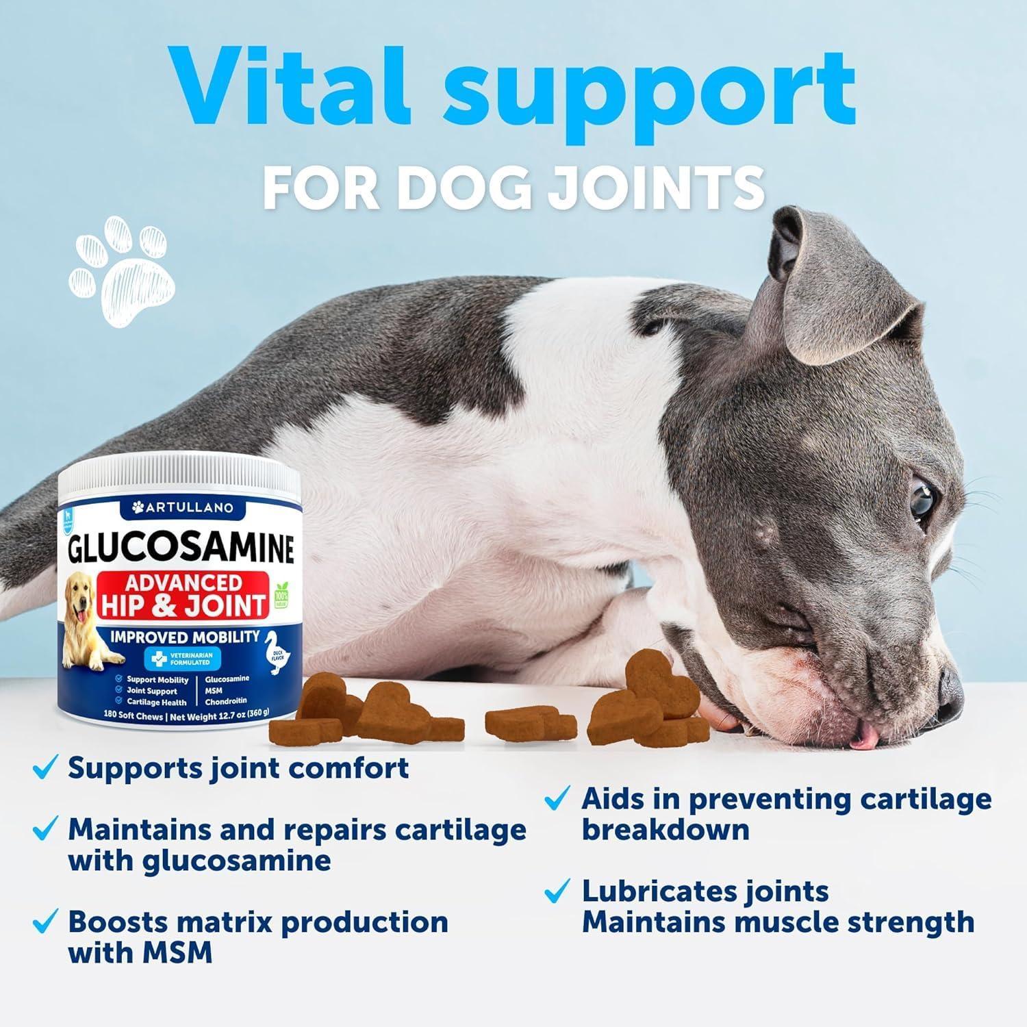 Glucosamine for Dogs Hip & Joint Chews Arthritis Support Glucosamine for Dogs Hip & Joint Chews Arthritis Support
