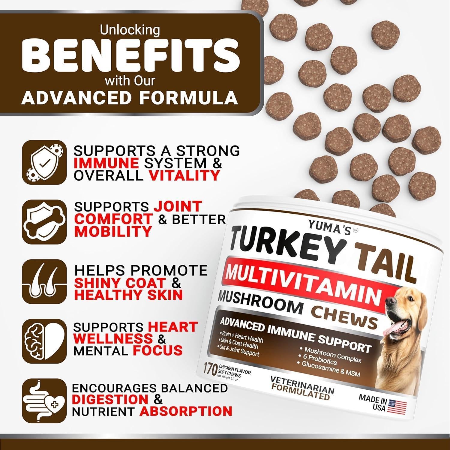 Turkey Tail Mushroom for Dogs Multivitamin Supplement Immune Support Turkey Tail Mushroom for Dogs Multivitamin Supplement Immune Support