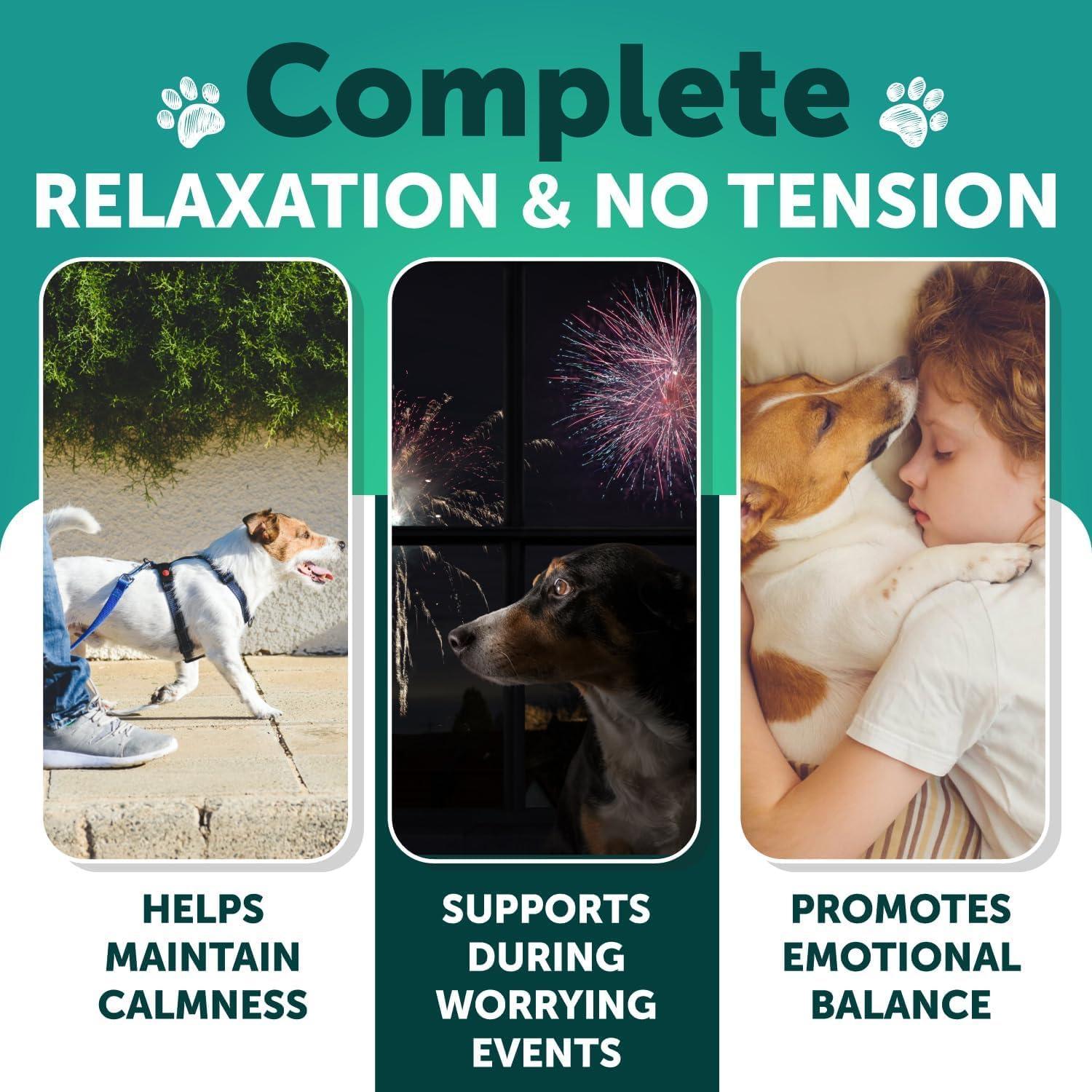 Calming Chews for Dogs 120 Count Anxiety Relief Turmeric & Valerian Calming Chews for Dogs 120 Count Anxiety Relief Turmeric & Valerian