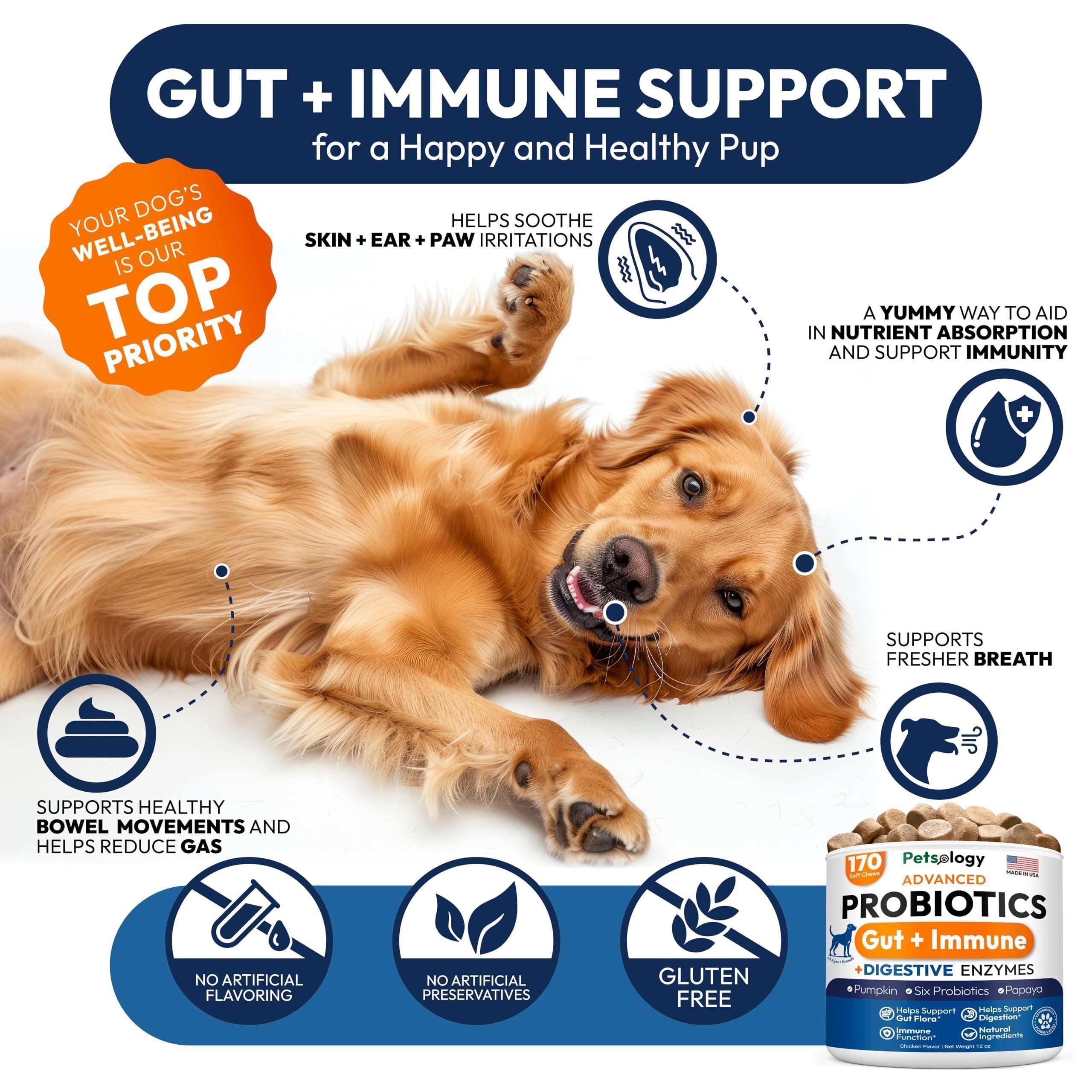 Probiotics for Dogs 170 Chews Digestive Enzymes & Prebiotics Gut Health Probiotics for Dogs 170 Chews Digestive Enzymes & Prebiotics Gut Health