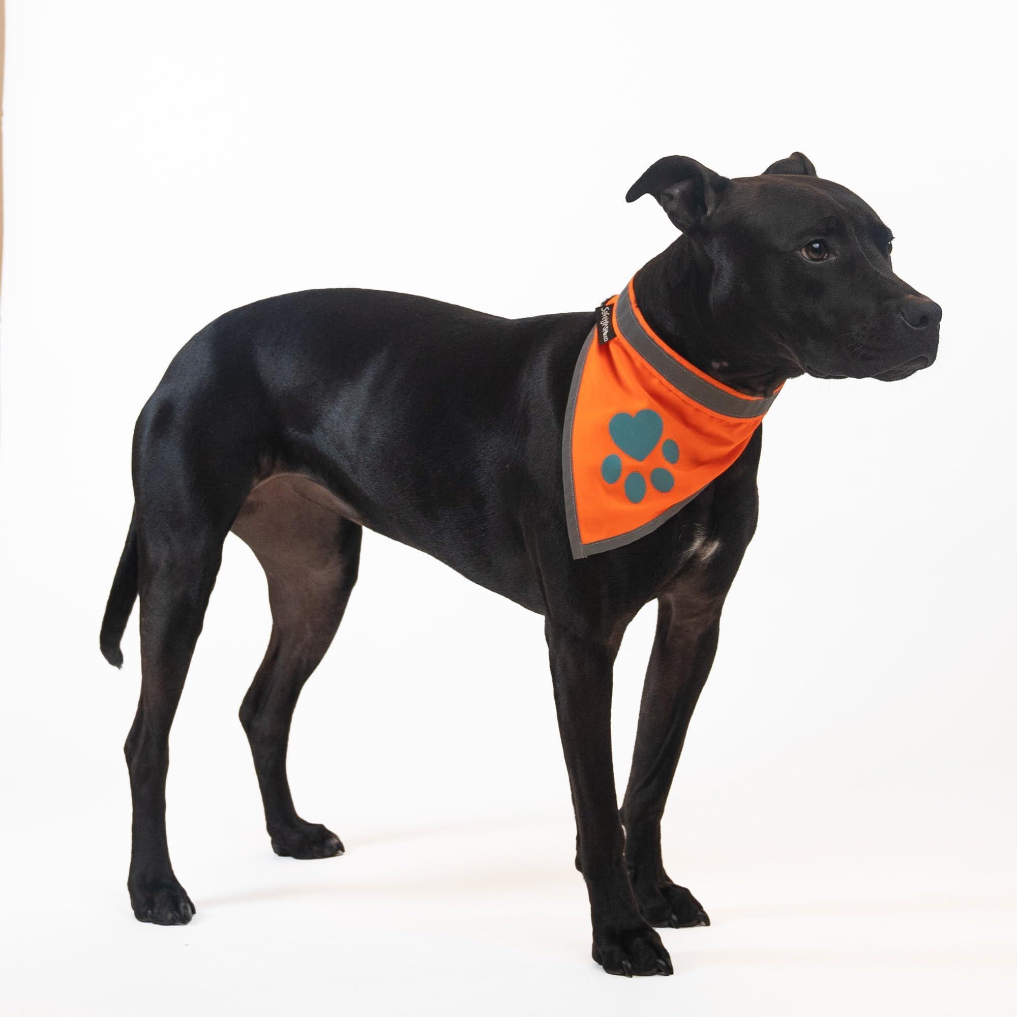 Reflective Dog Bandana Hi-Vis S Size 10 in Neck Orange Reflective Dog Bandana Hi-Vis S Size 10 in Neck Orange