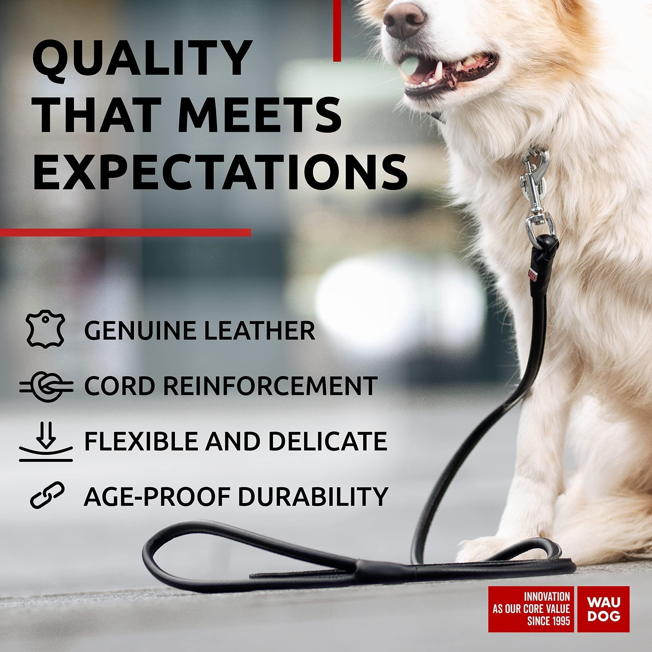 Rolled Leather Dog Leash 4 ft x 0.4 in All Sizes Black Rolled Leather Dog Leash 4 ft x 0.4 in All Sizes Black