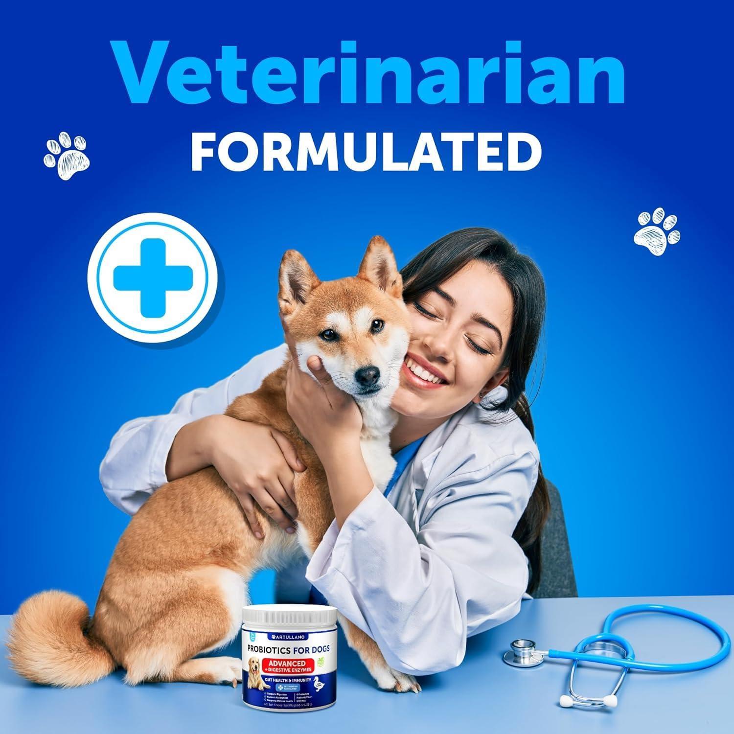 Probiotics for Dogs Gut Health Itchy Skin & Immune Support Probiotics for Dogs Gut Health Itchy Skin & Immune Support