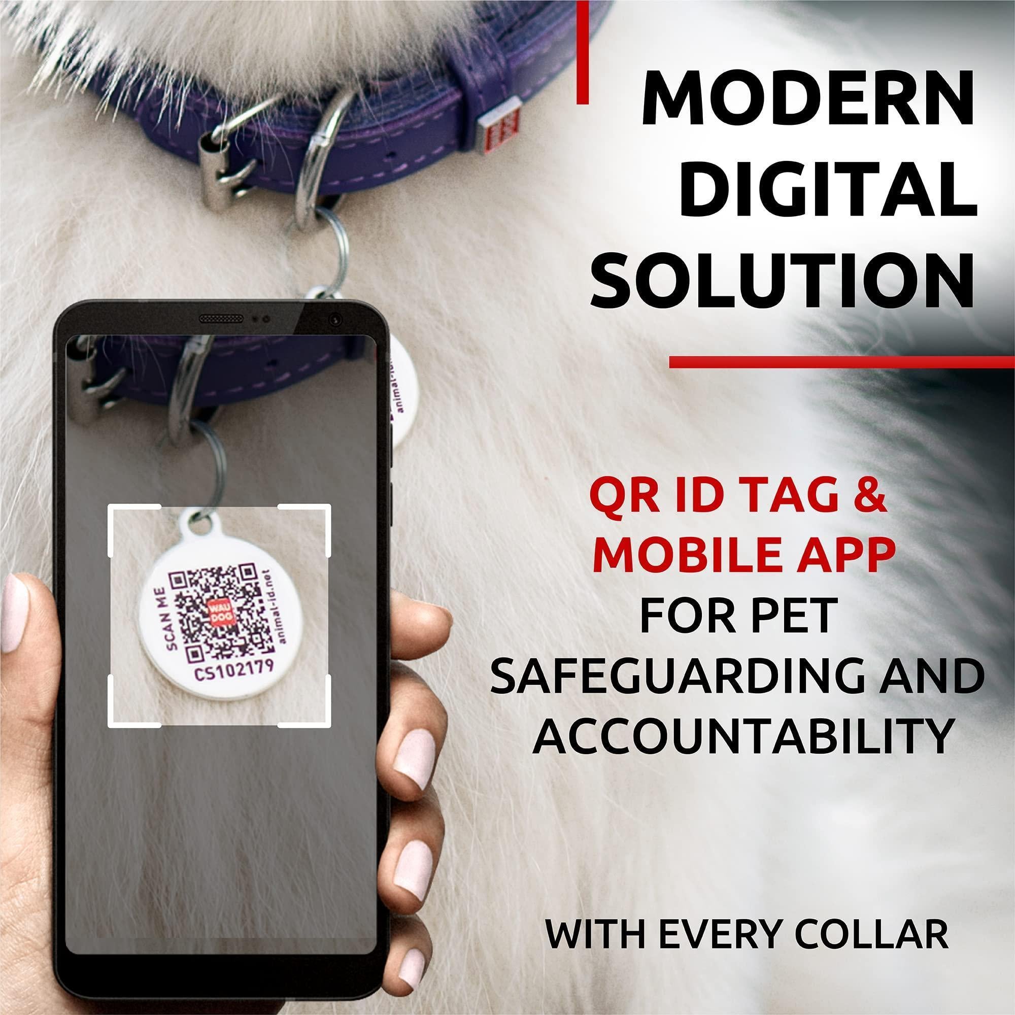 Rolled Leather Dog Collar Padded All Sizes 8–10 in Neck Purple Rolled Leather Dog Collar Padded All Sizes 8–10 in Neck Purple