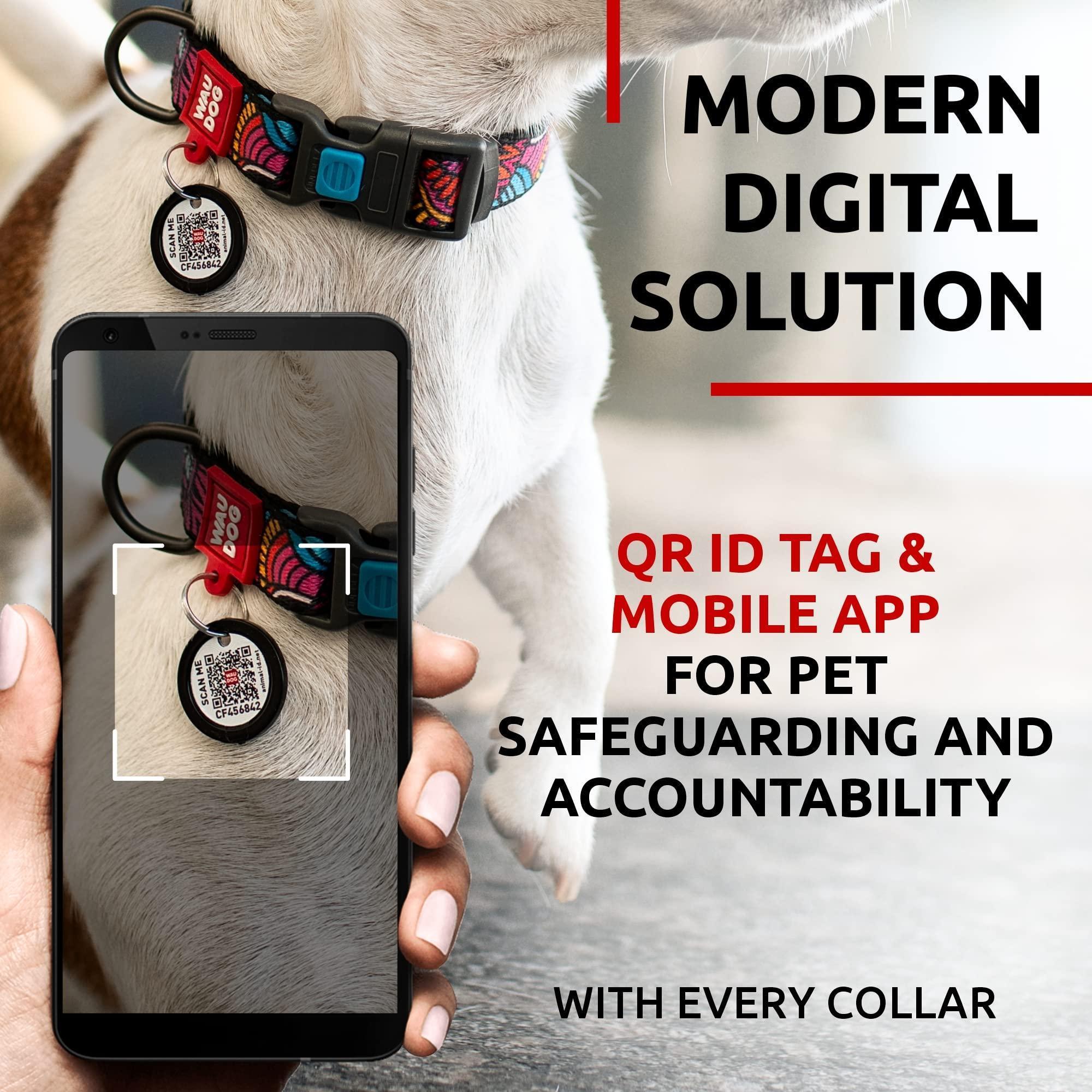Nylon Dog Collar Adjustable Small Dogs 9–14 in Neck x 3/5 in Wide Nylon Dog Collar Adjustable Small Dogs 9–14 in Neck x 3/5 in Wide