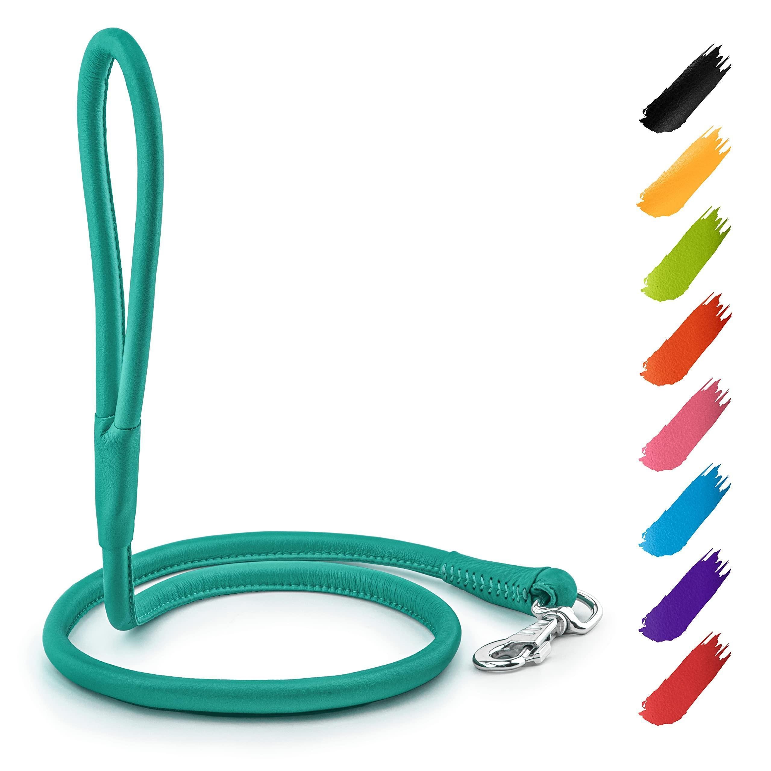 Rolled Leather Dog Leash 4 ft x 0.4 in All Sizes Mint Rolled Leather Dog Leash 4 ft x 0.4 in All Sizes Mint