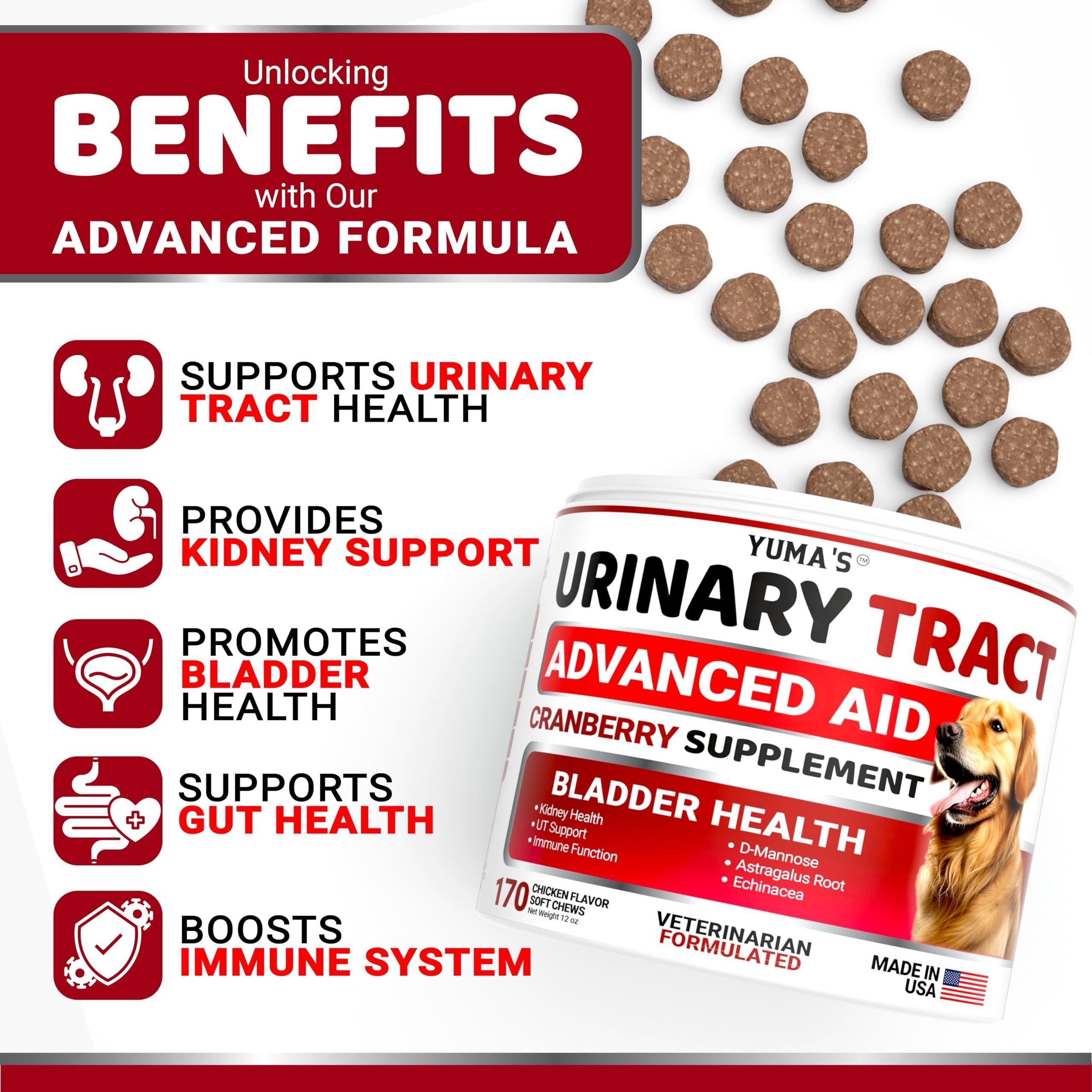 Dog UTI Treatment 170 Count Cranberry Supplement Bladder Control Dog UTI Treatment 170 Count Cranberry Supplement Bladder Control