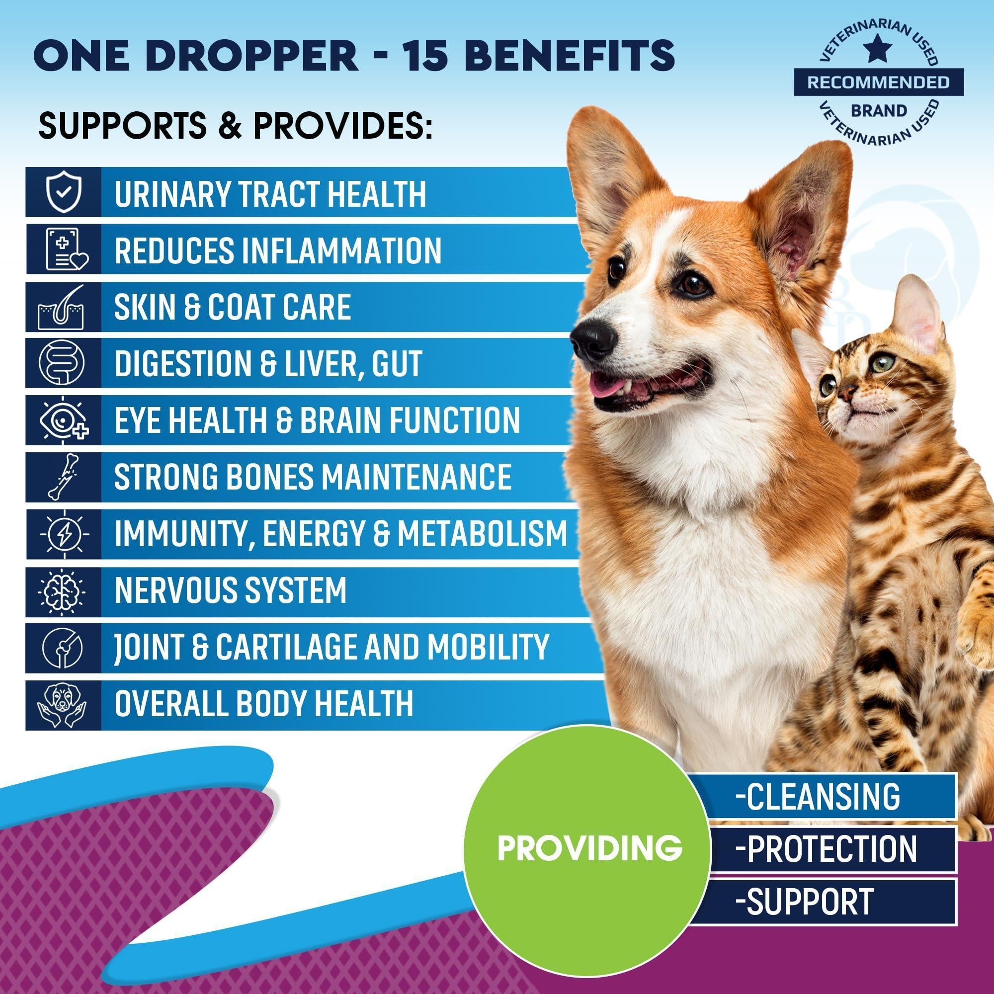 Cat & Dog Liquid Multivitamin Glucosamine & Cranberry Cat & Dog Liquid Multivitamin Glucosamine & Cranberry