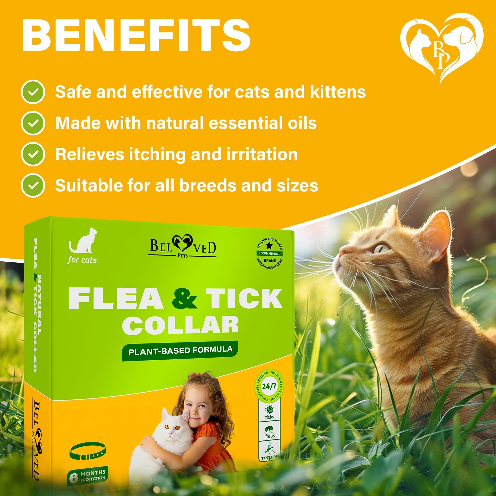 Flea & Tick Collar for Cats 6-Month Protection Essential Oil Repellent 1 Pack Flea & Tick Collar for Cats 6-Month Protection Essential Oil Repellent 1 Pack