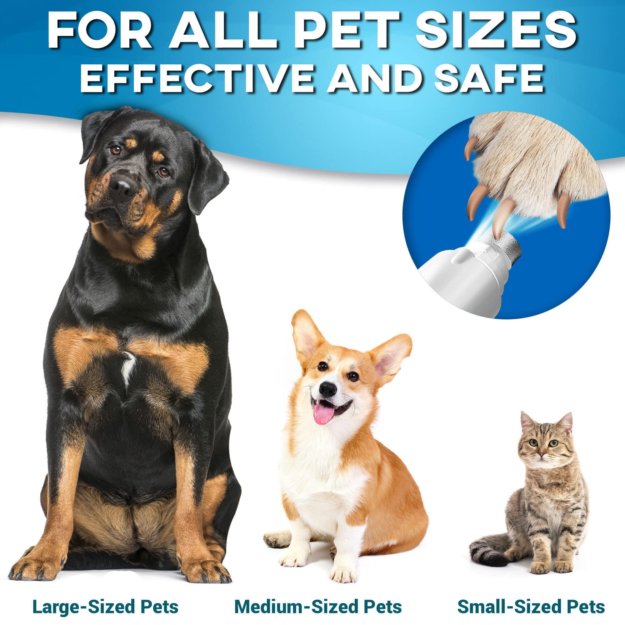 Dog Nail Grinder Replacement Head 3-Pack Bits Dog Nail Grinder Replacement Head 3-Pack Bits