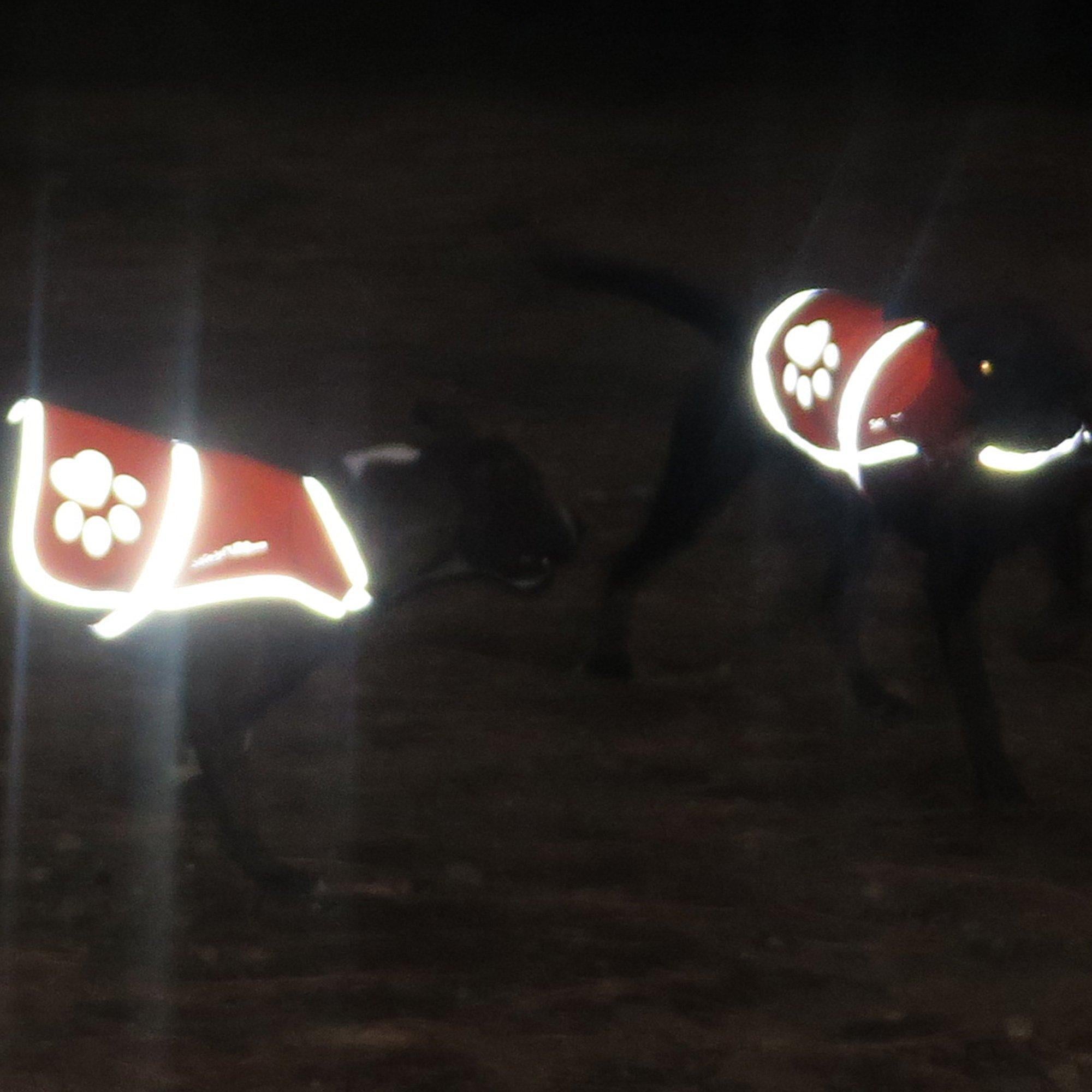 Reflective Dog Vest Hi-Vis XS Size 22.5 in Chest x 15 in Neck Pink Reflective Dog Vest Hi-Vis XS Size 22.5 in Chest x 15 in Neck Pink