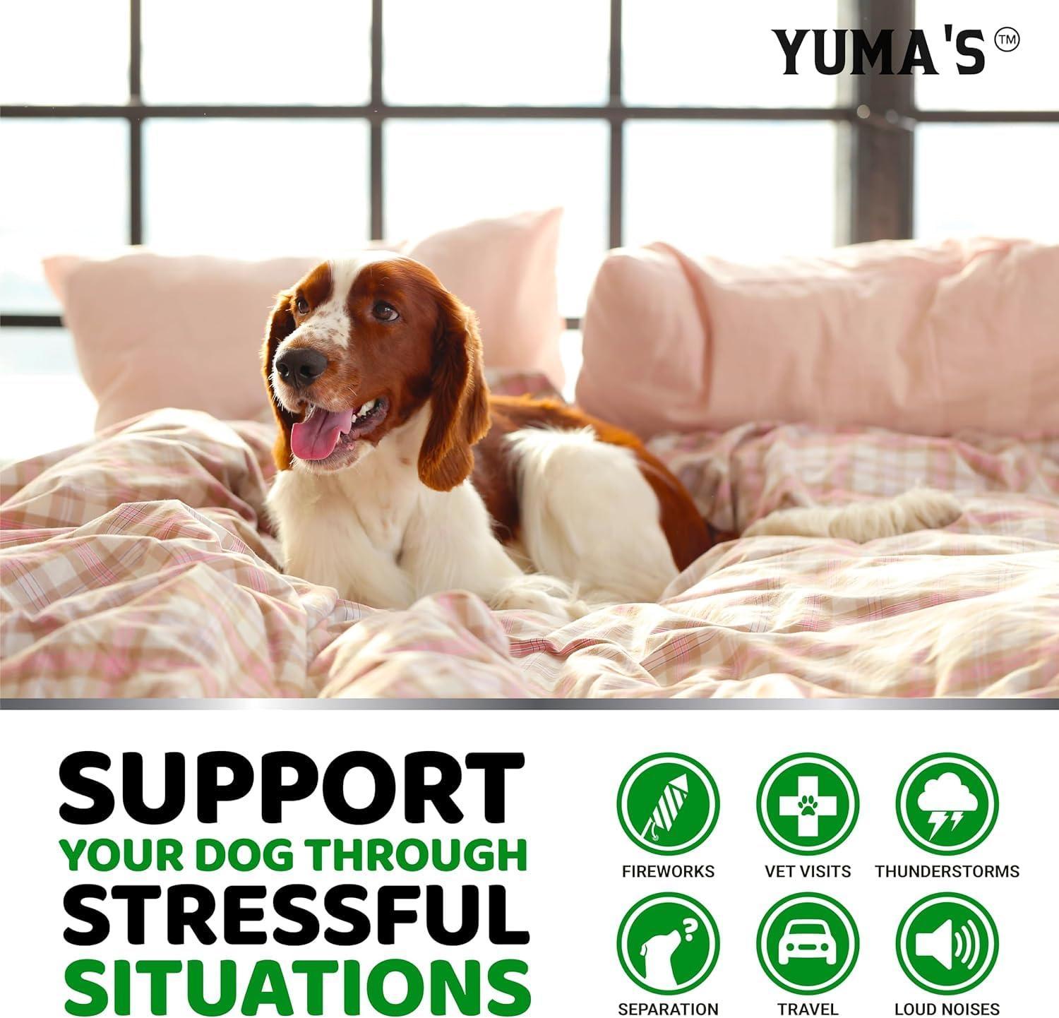 Hemp Calming Chews for Dogs 2-Pack Hemp Calming Chews for Dogs 2-Pack
