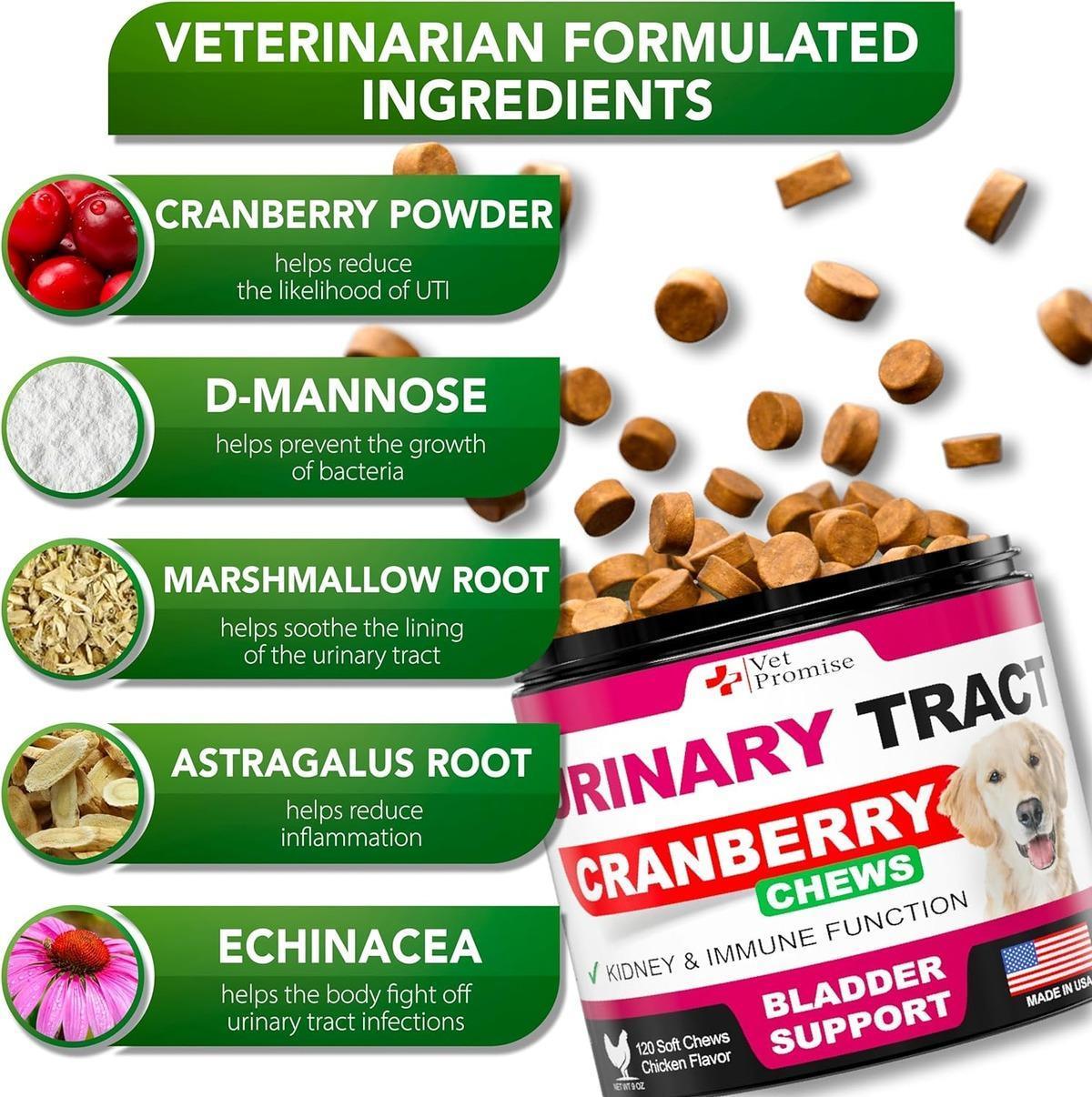 Dog UTI Treatment 120 Chews Cranberry Supplement Bladder Control Dog UTI Treatment 120 Chews Cranberry Supplement Bladder Control