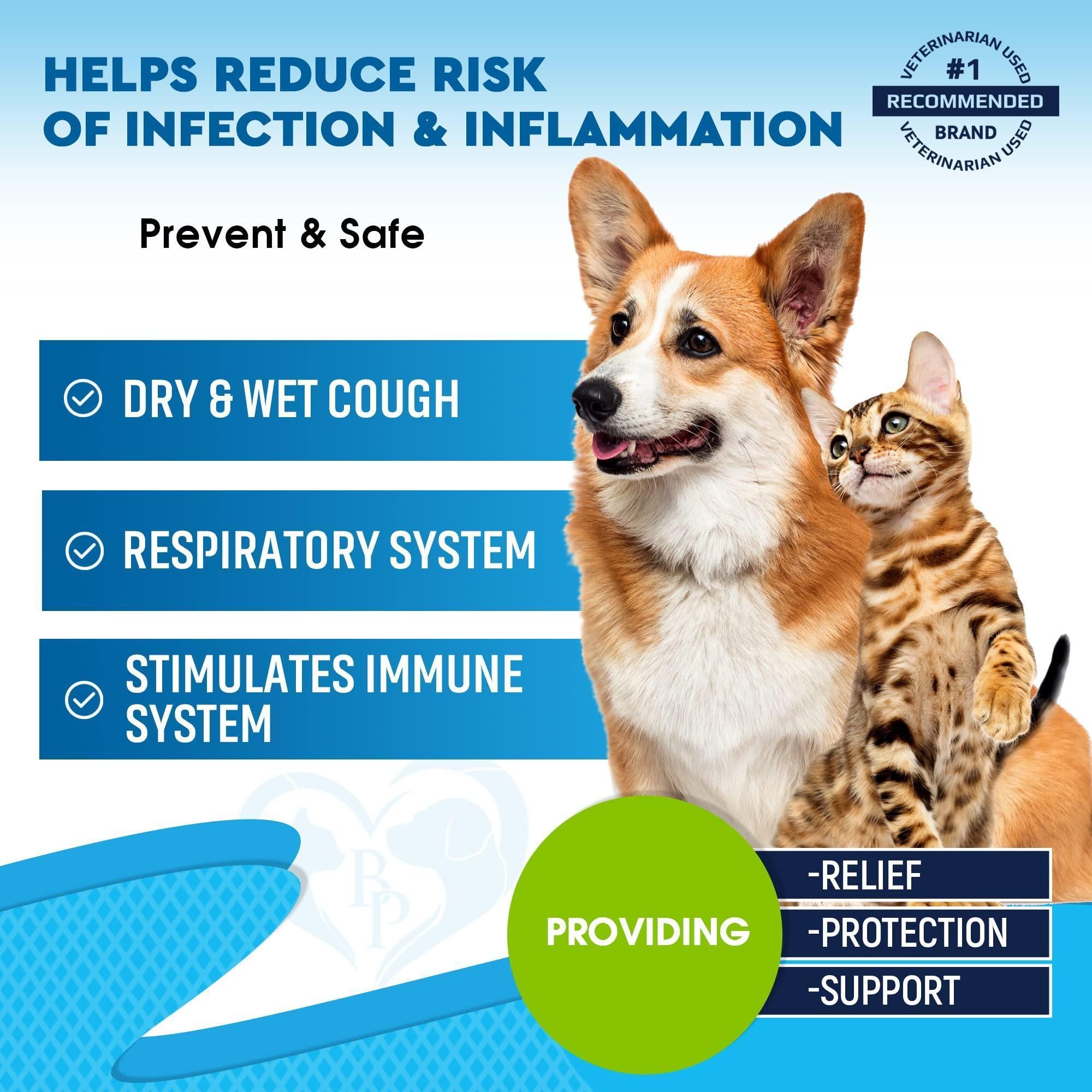 Kennel Cough Supplement for Dogs & Cats Cold & Cough Relief Kennel Cough Supplement for Dogs & Cats Cold & Cough Relief