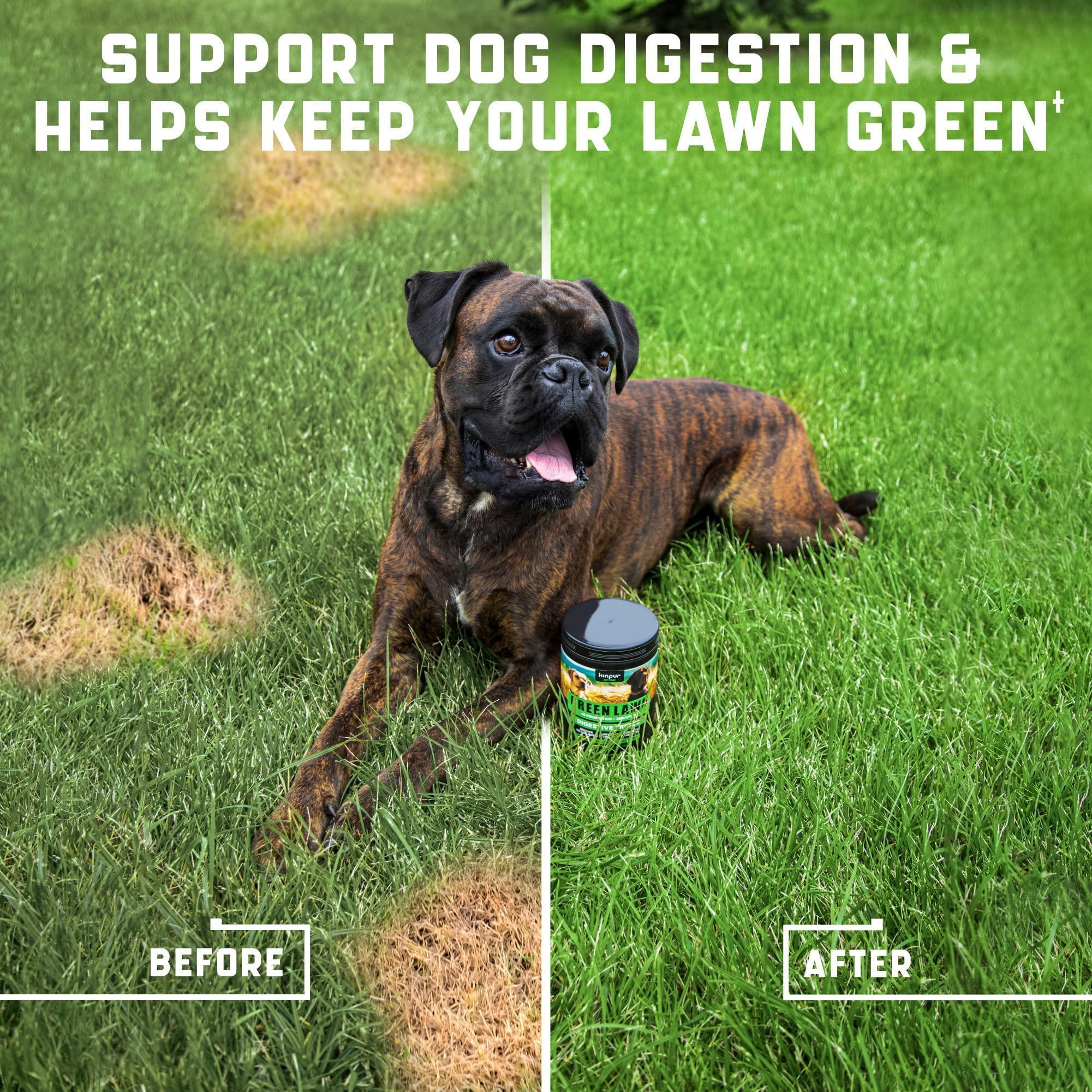 Green Lawn Chews for Dogs Urine Neutralizer Cranberry ACV & Enzymes Green Lawn Chews for Dogs Urine Neutralizer Cranberry ACV & Enzymes