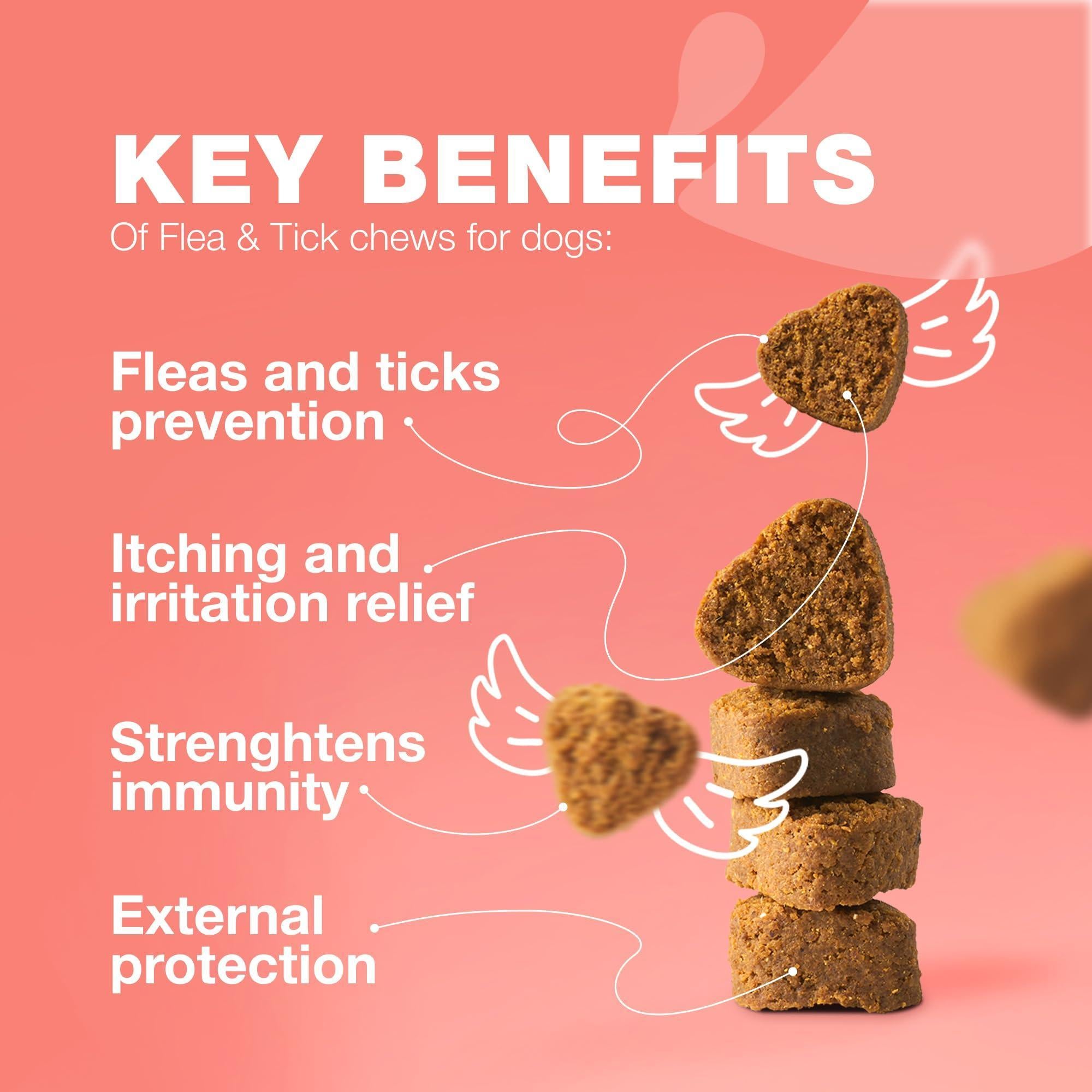 Dog Insects Treatment Chews Insects Control Dog Insects Treatment Chews Insects Control