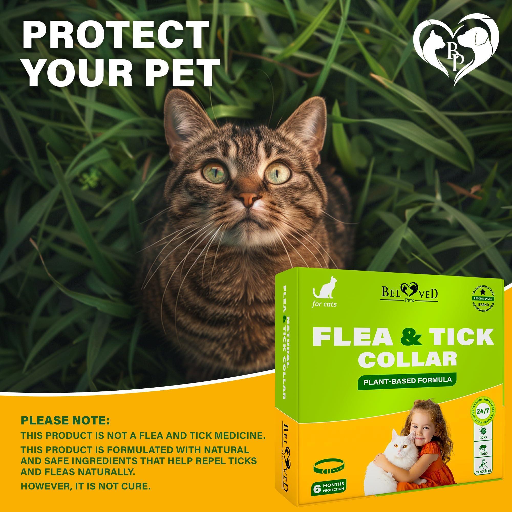 Flea & Tick Collar for Cats 6-Month Protection Essential Oil Repellent 1 Pack Flea & Tick Collar for Cats 6-Month Protection Essential Oil Repellent 1 Pack