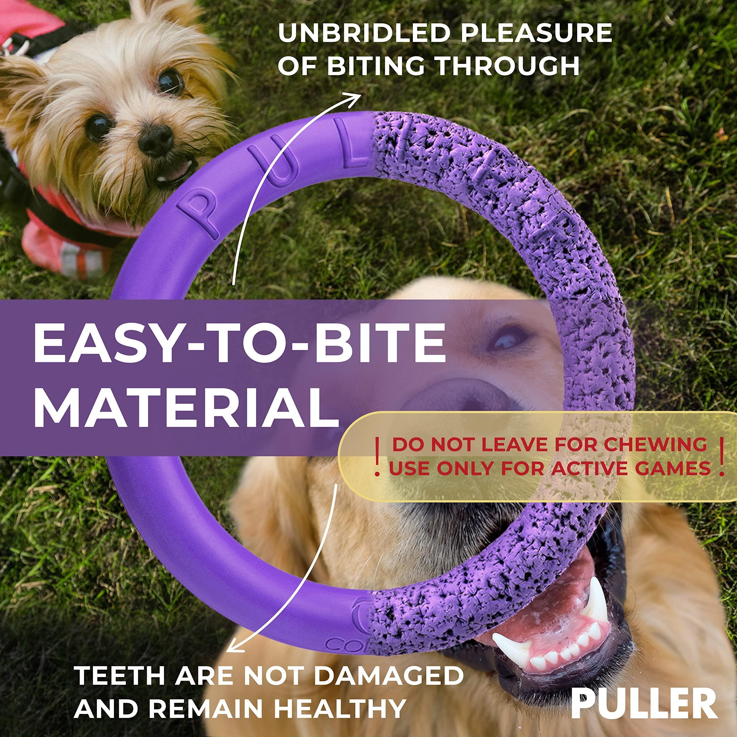 Dog Ring Fetch Toy Small Dogs Mini Size 2 Rings Purple Dog Ring Fetch Toy Small Dogs Mini Size 2 Rings Purple