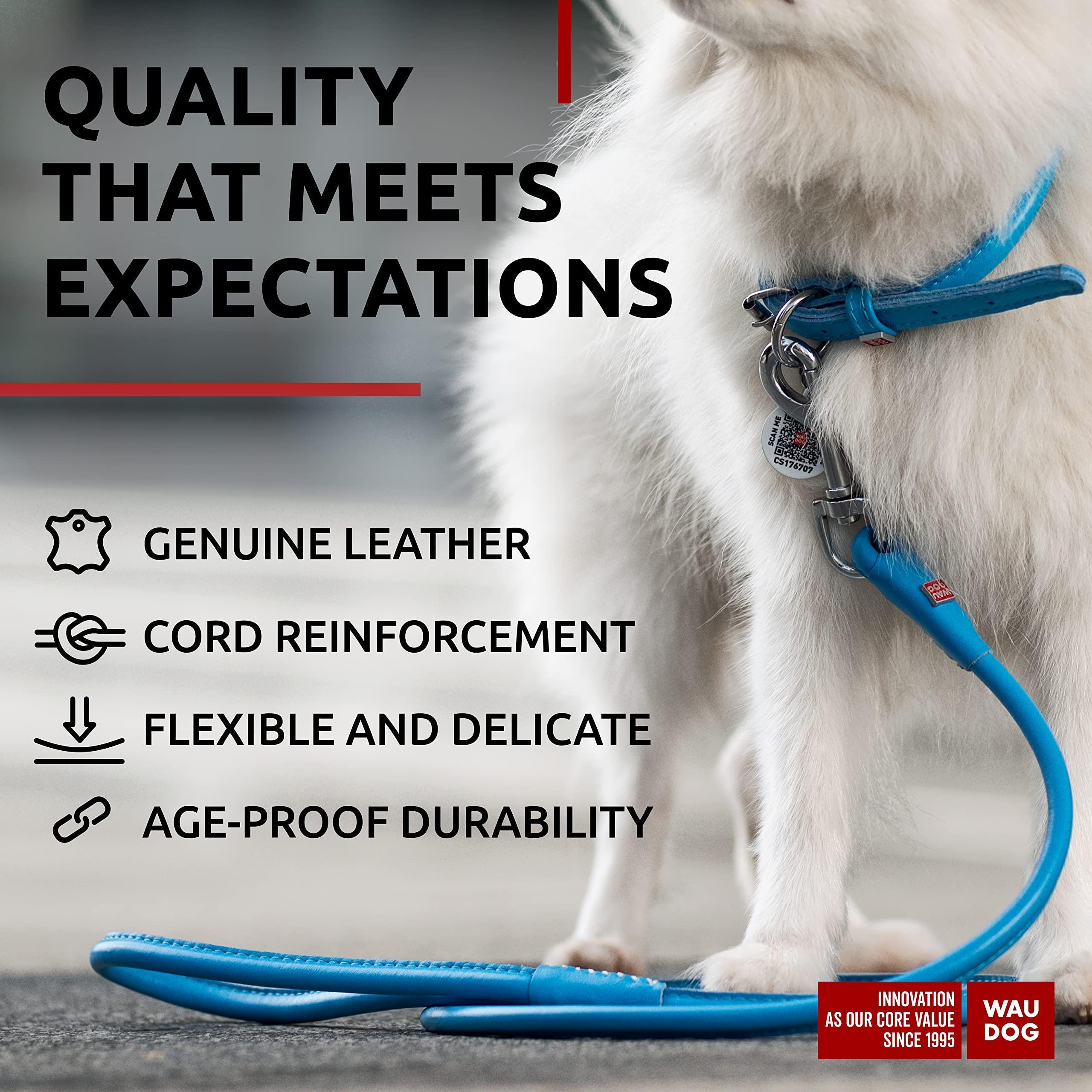 Rolled Leather Dog Leash 4 ft x 0.3 in All Sizes Blue Rolled Leather Dog Leash 4 ft x 0.3 in All Sizes Blue