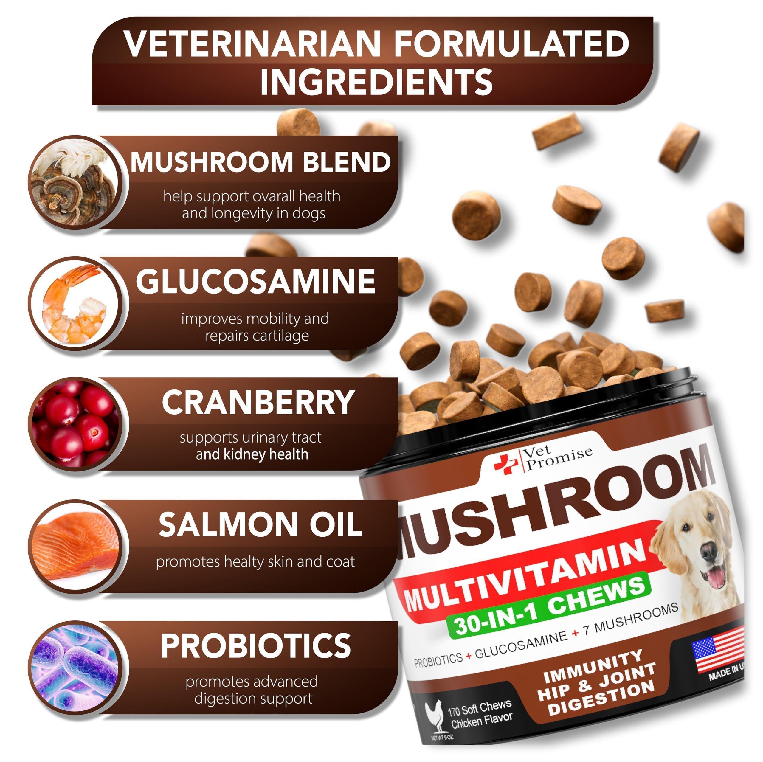Mushroom Chews for Dogs 340 Count 2-Pack Turkey Tail Lion's Mane & Reishi Mushroom Chews for Dogs 340 Count 2-Pack Turkey Tail Lion's Mane & Reishi