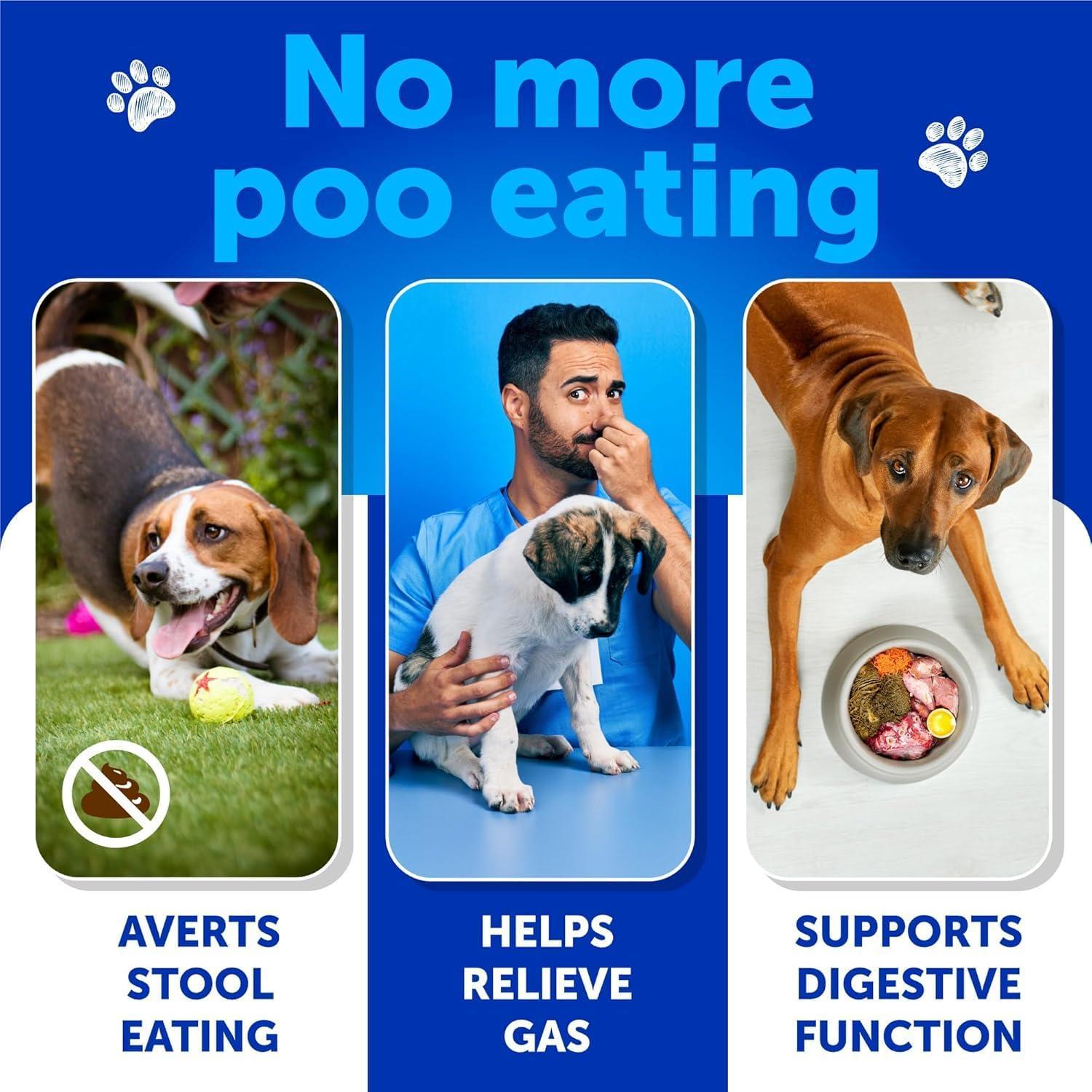 No Poo Chews for Dogs Coprophagia Stool-Eating Deterrent No Poo Chews for Dogs Coprophagia Stool-Eating Deterrent