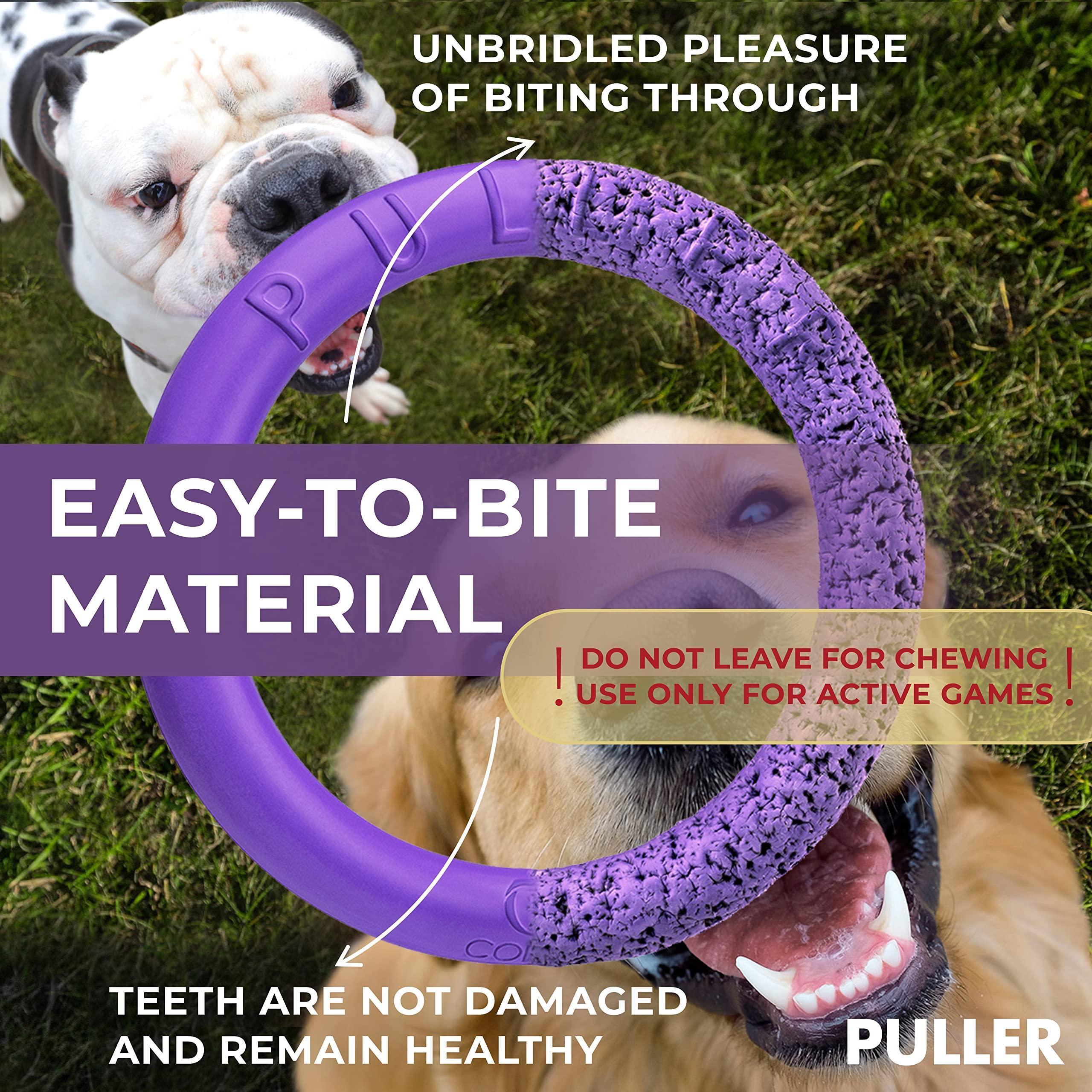 Dog Ring Fetch Toy Large Dogs Maxi Size 1 Pc Purple Dog Ring Fetch Toy Large Dogs Maxi Size 1 Pc Purple
