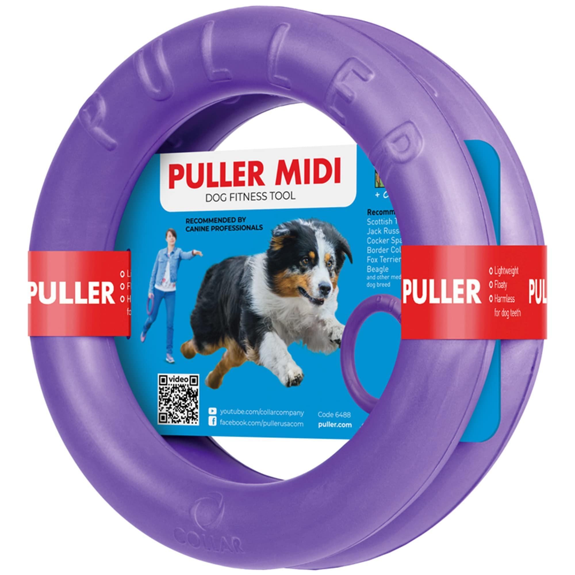 Dog Ring Fetch Toy Medium Dogs MIDI Size 2 Rings Dog Ring Fetch Toy Medium Dogs MIDI Size 2 Rings