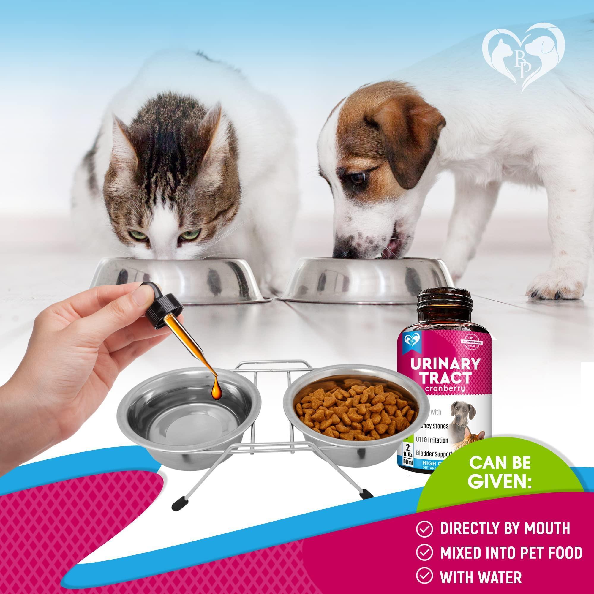 Cat & Dog UTI Treatment Drops Cranberry Urinary Support Cat & Dog UTI Treatment Drops Cranberry Urinary Support