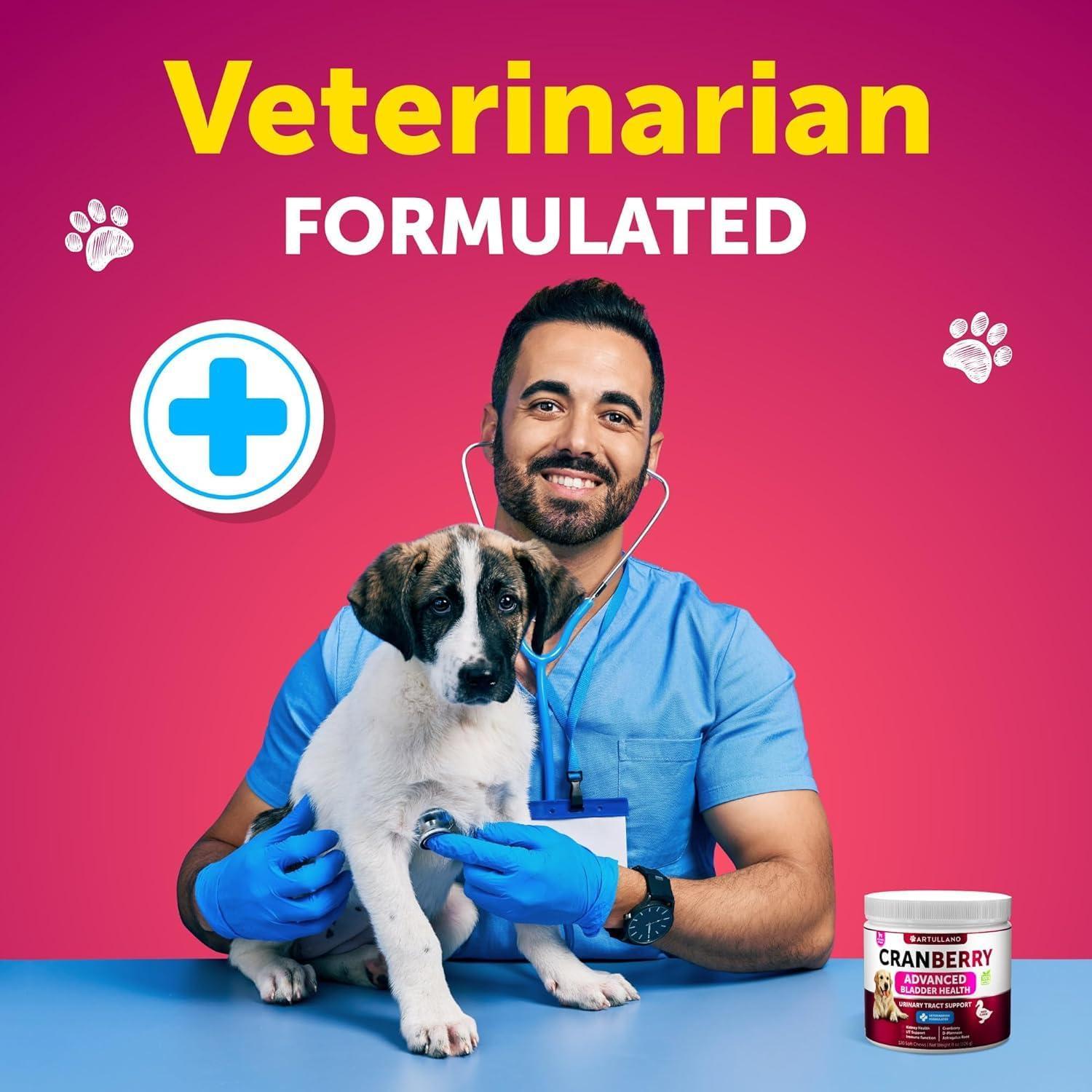 Dog UTI Treatment Cranberry Supplement Bladder Control Dog UTI Treatment Cranberry Supplement Bladder Control