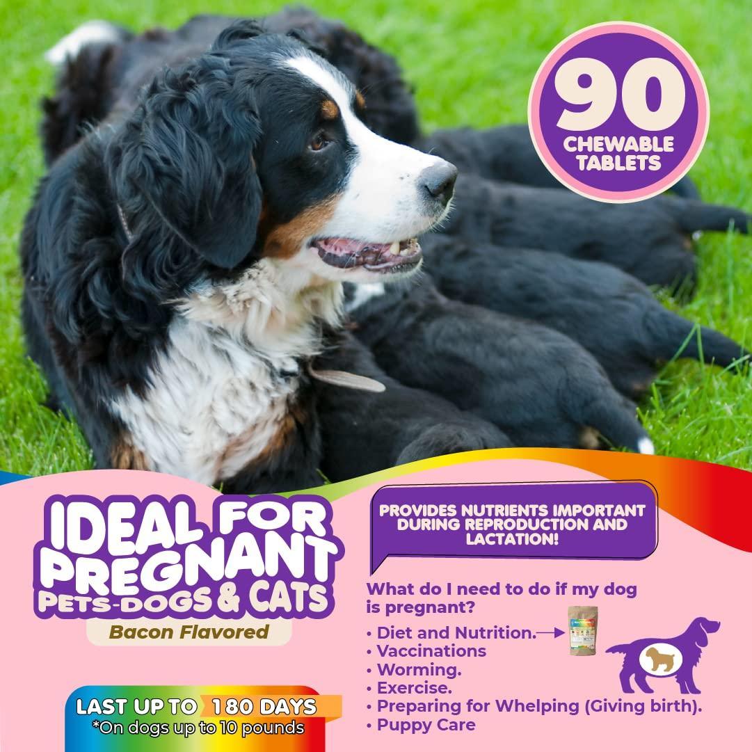Prenatal Multivitamin for Dogs & Cats Folic Acid & Minerals Prenatal Multivitamin for Dogs & Cats Folic Acid & Minerals