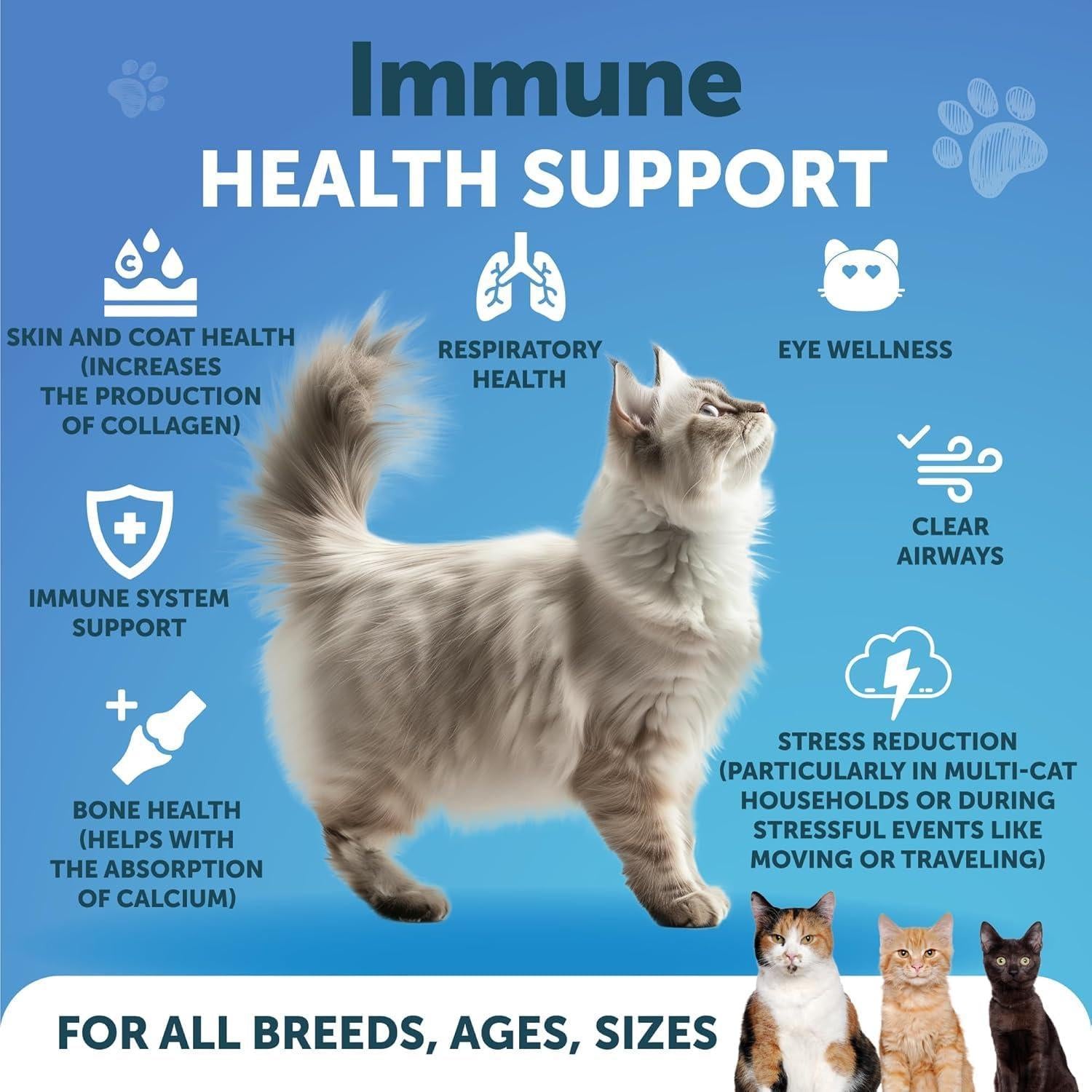 L-Lysine Powder for Cats 900 mg per Serving Immune Support L-Lysine Powder for Cats 900 mg per Serving Immune Support