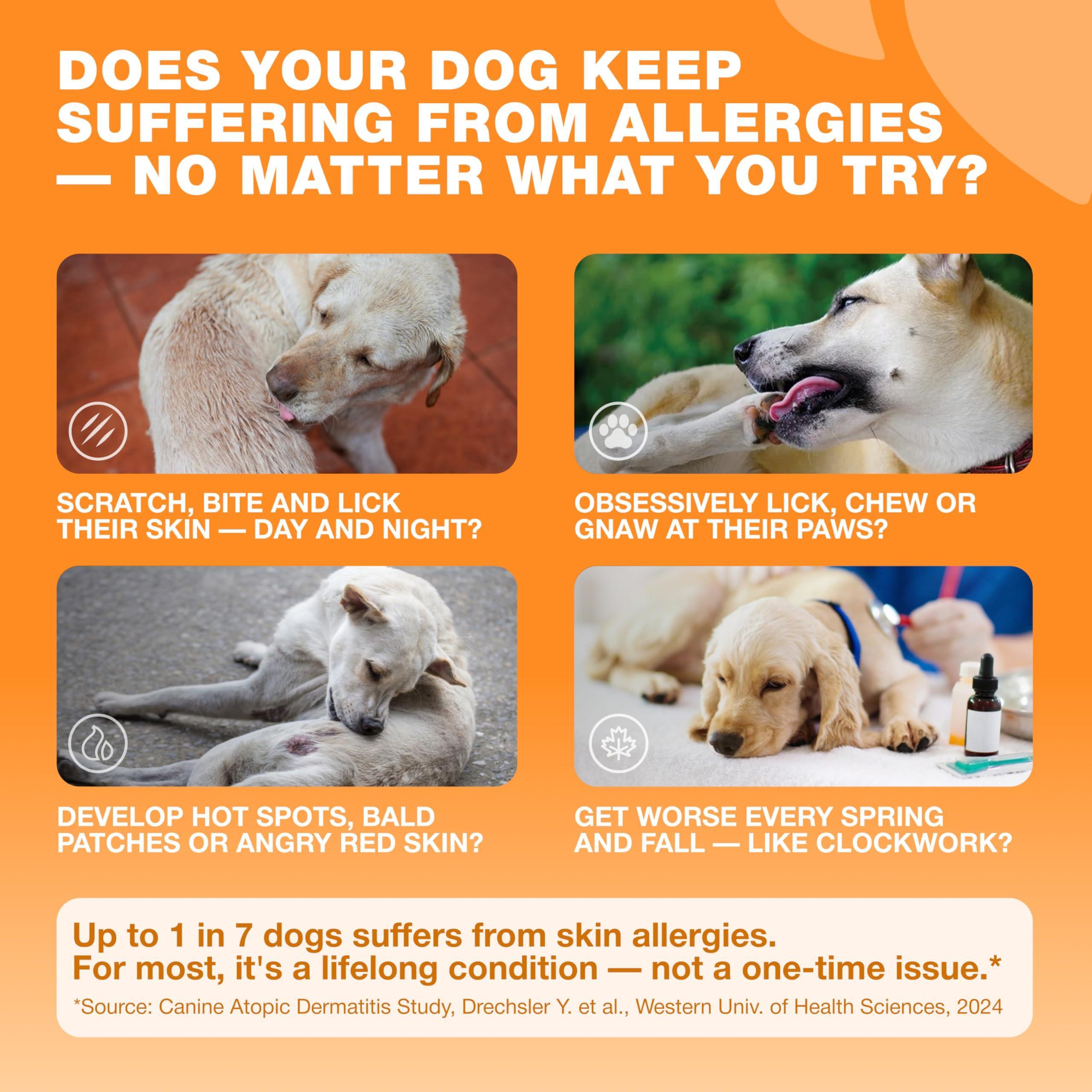 Dog Allergy Relief Chews Itch Relief for Dogs 180 Allergy Chews for Itching Skin with Probiotics, Colostrum, Salmon Oil Allergy, Skin and Coat, Immune, Digestion Support Supplement Hot Spots Dog Allergy Relief Chews Itch Relief for Dogs 180 Allergy Chews for Itching Skin with Probiotics, Colostrum, Salmon Oil Allergy, Skin and Coat, Immune, Digestion Support Supplement Hot Spots