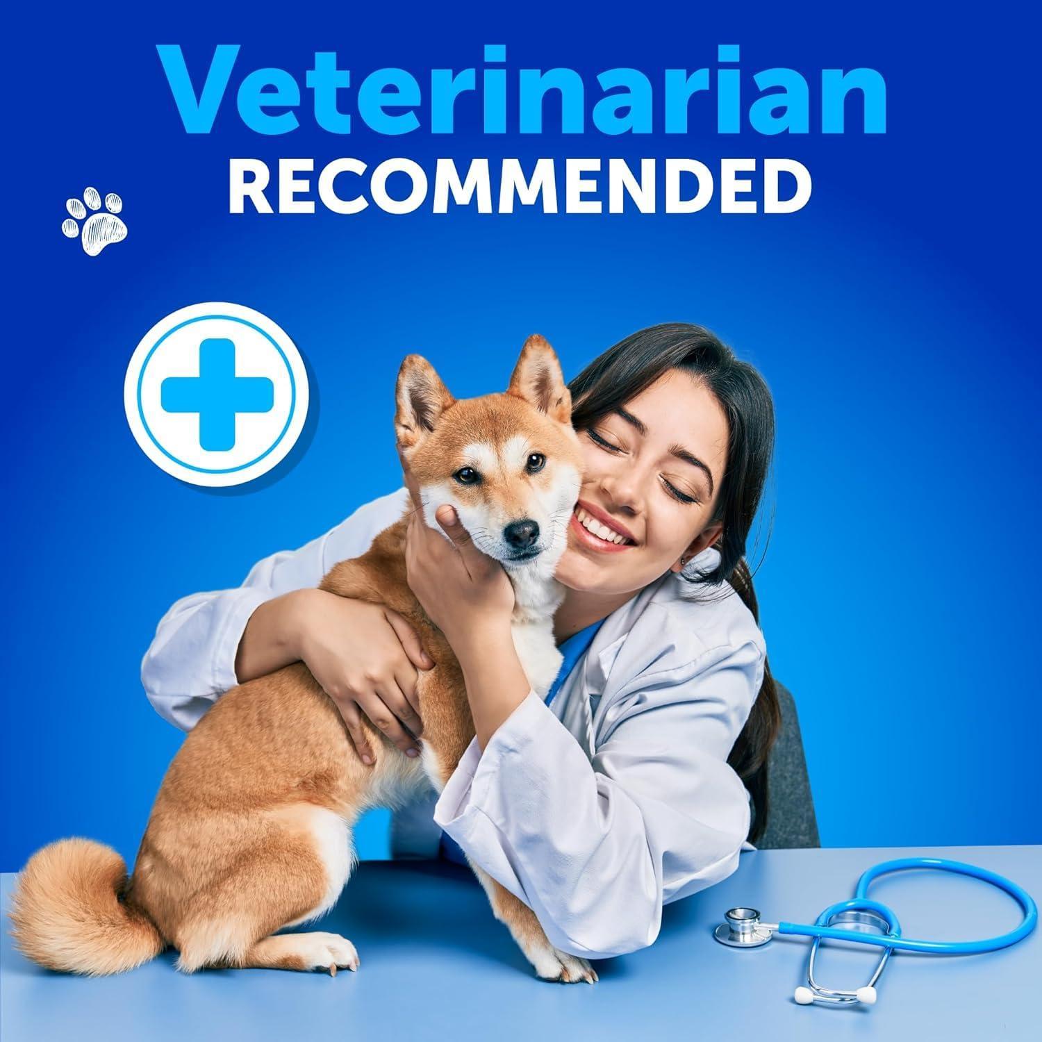 Dog Allergy Relief Chews Itchy Skin Relief Omega-3 Fish Oil Dog Allergy Relief Chews Itchy Skin Relief Omega-3 Fish Oil