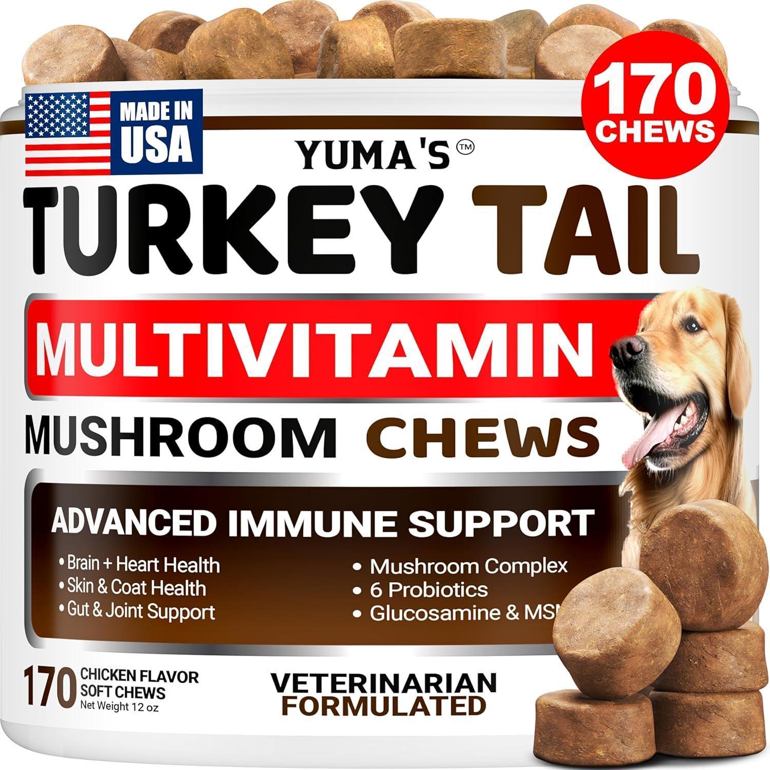 Turkey Tail Mushroom for Dogs Multivitamin Supplement Immune Support Turkey Tail Mushroom for Dogs Multivitamin Supplement Immune Support