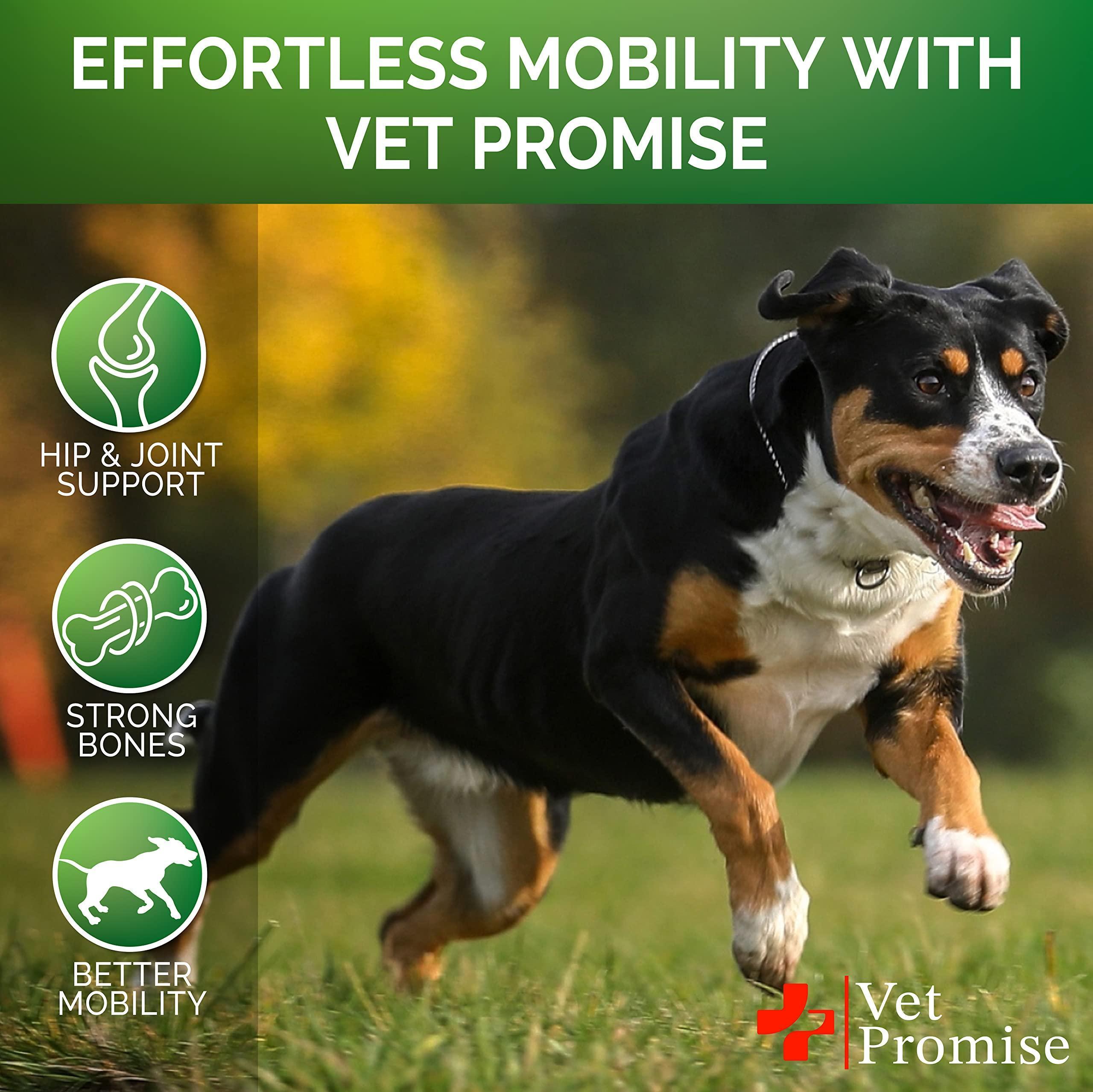 Hemp Hip & Joint Supplement for Dogs Glucosamine 120 Chews Hemp Hip & Joint Supplement for Dogs Glucosamine 120 Chews