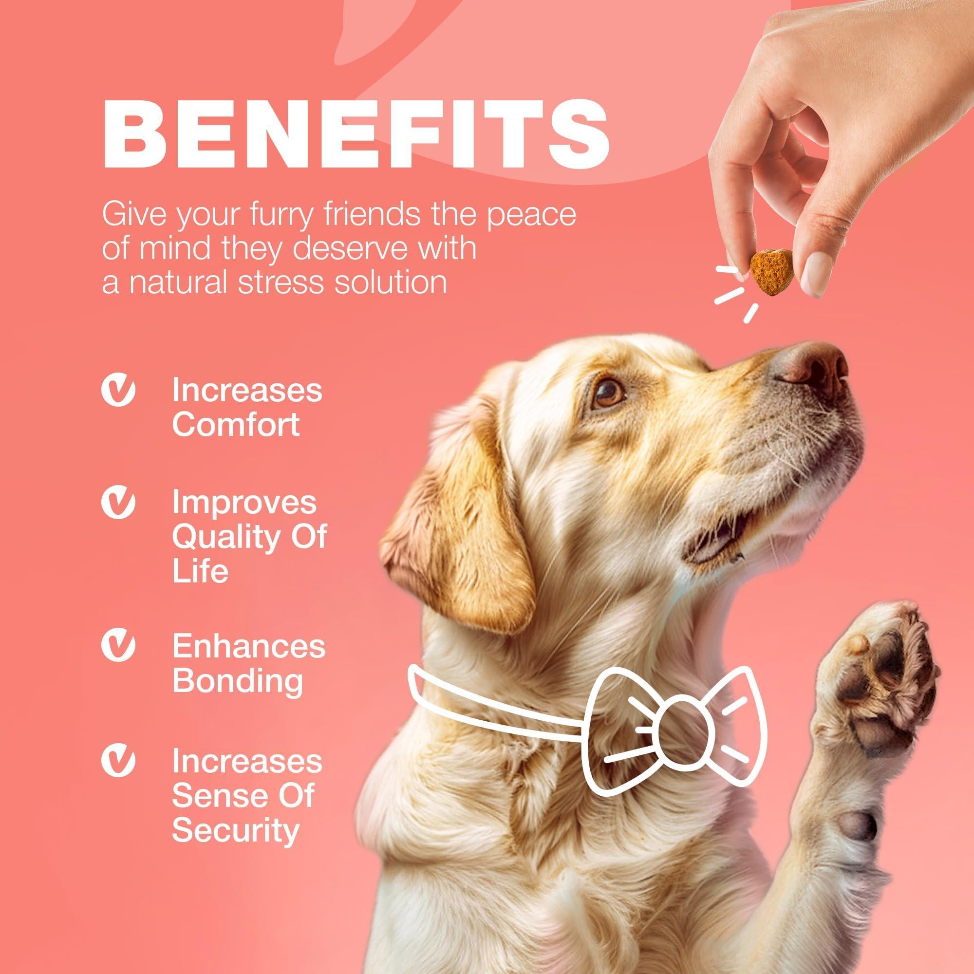 Dog Insects Treatment Chews Insects Control Dog Insects Treatment Chews Insects Control