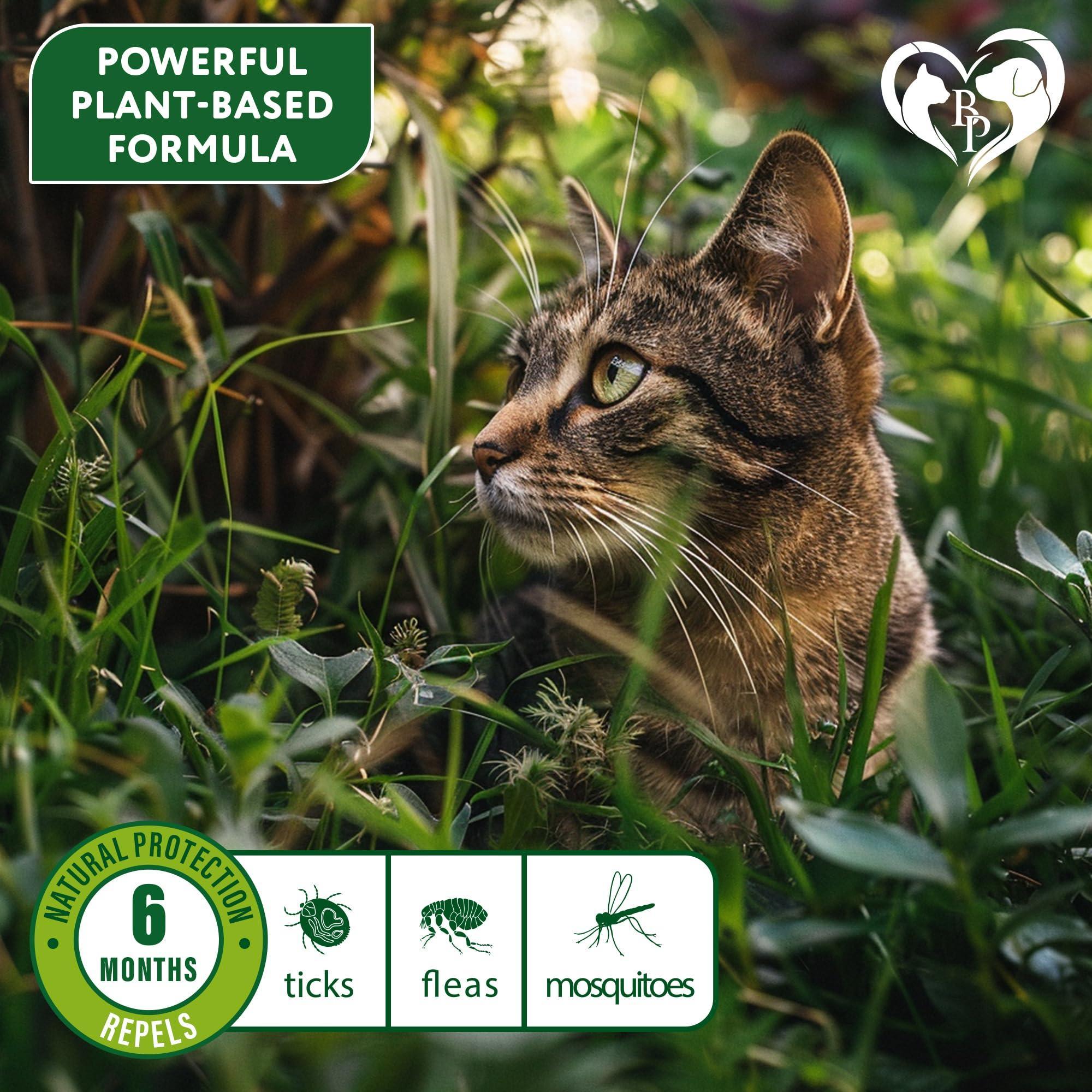 Flea & Tick Collar for Cats 6-Month Protection Essential Oil Repellent 1 Pack Flea & Tick Collar for Cats 6-Month Protection Essential Oil Repellent 1 Pack