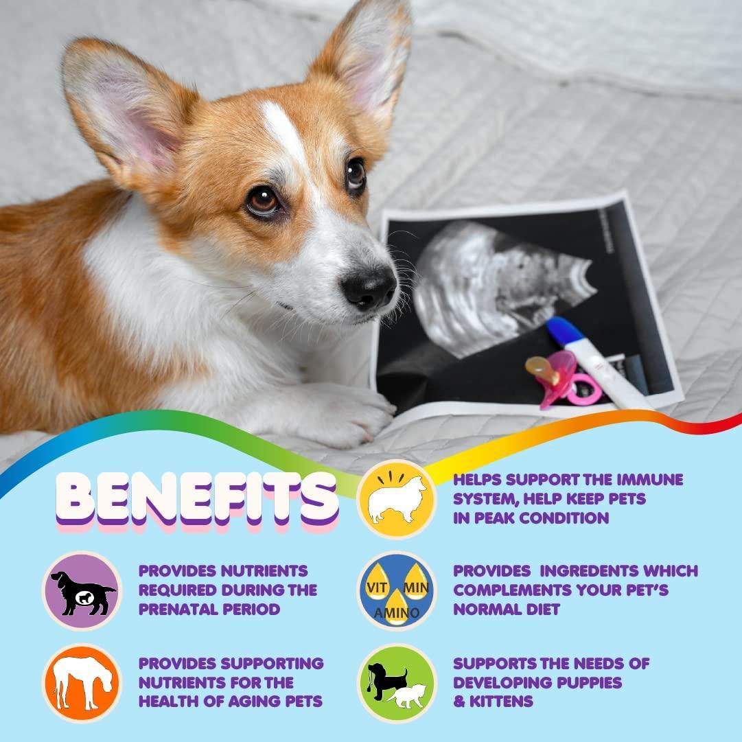 Prenatal Multivitamin for Dogs & Cats Folic Acid & Minerals Prenatal Multivitamin for Dogs & Cats Folic Acid & Minerals