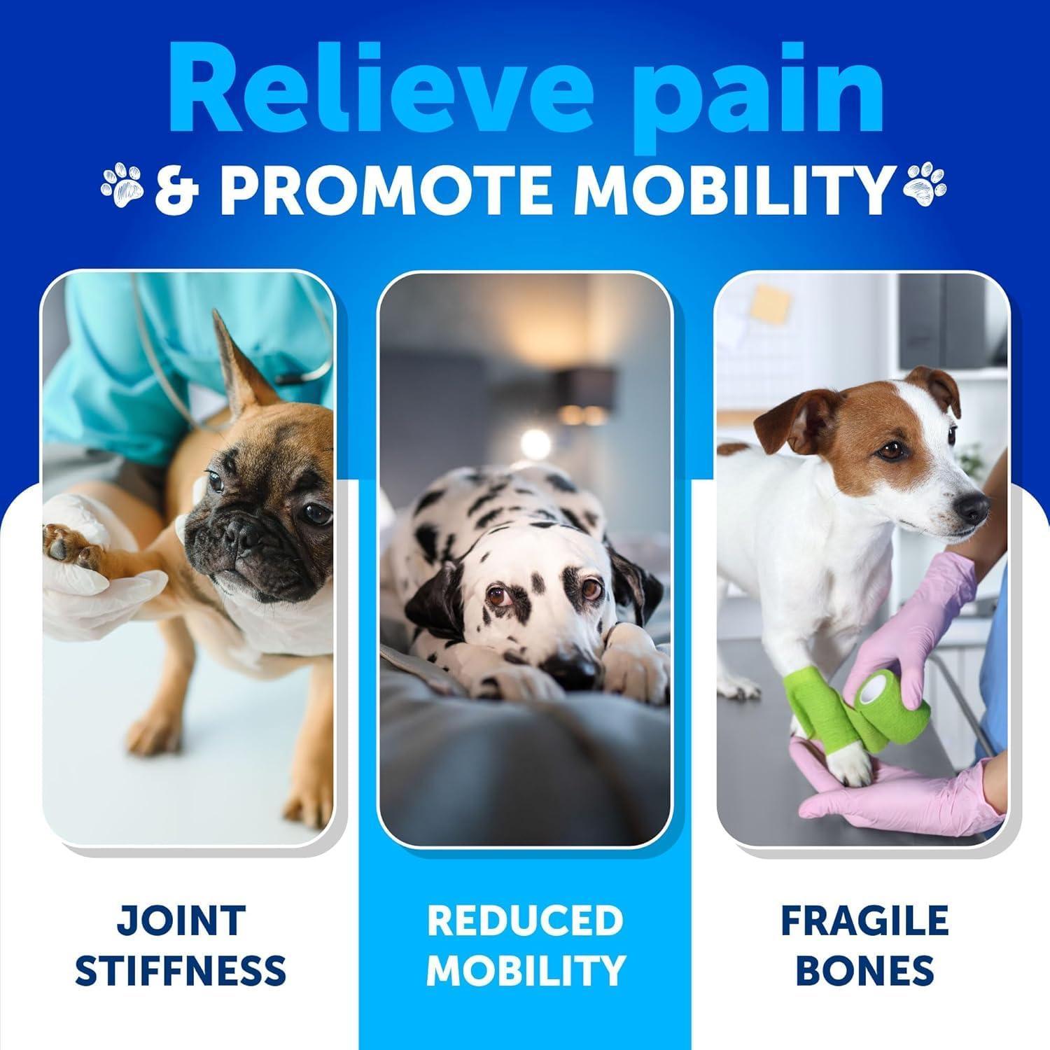 Hip and Joint Supplement for Dogs Glucosamine Joint Pain Relief Chews Hip and Joint Supplement for Dogs Glucosamine Joint Pain Relief Chews