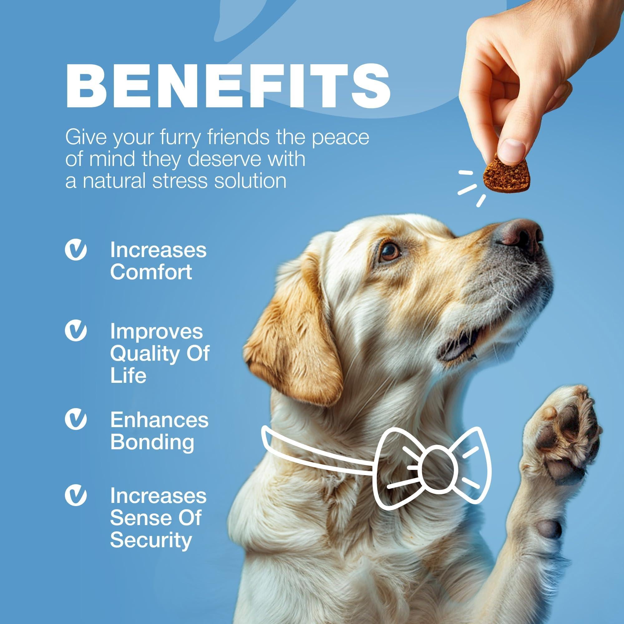 Hemp Calming Chews for Dogs Anxiety Relief L-Theanine & Chamomile Hemp Calming Chews for Dogs Anxiety Relief L-Theanine & Chamomile