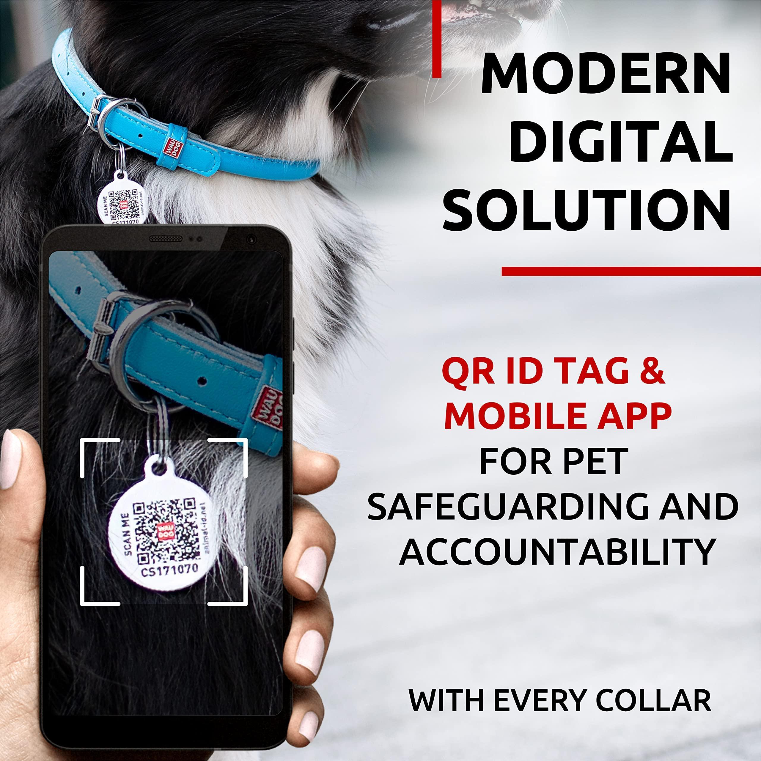 Rolled Leather Dog Collar Padded All Sizes 15–19 in Neck Blue Rolled Leather Dog Collar Padded All Sizes 15–19 in Neck Blue