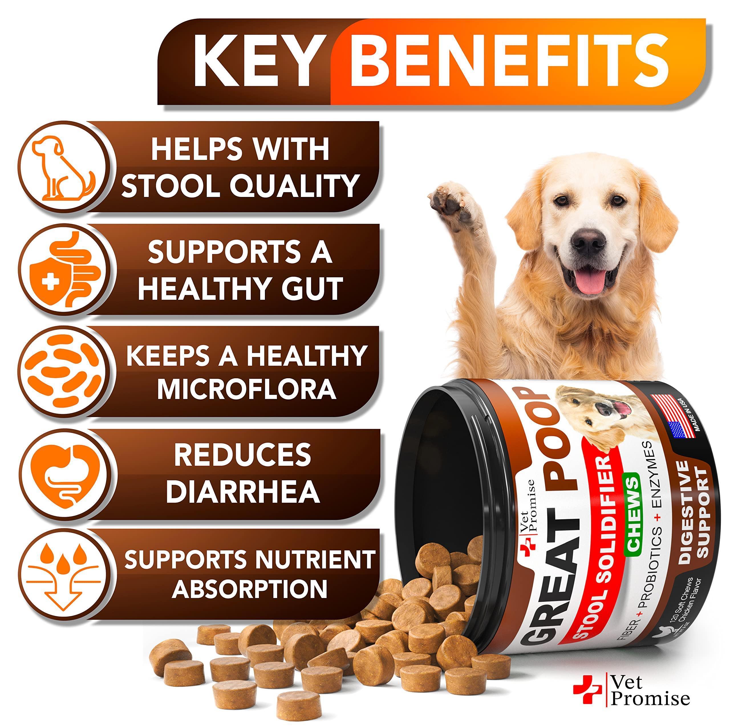 Probiotics for Dogs 120 Chews Stool Softener High Fiber Probiotics for Dogs 120 Chews Stool Softener High Fiber