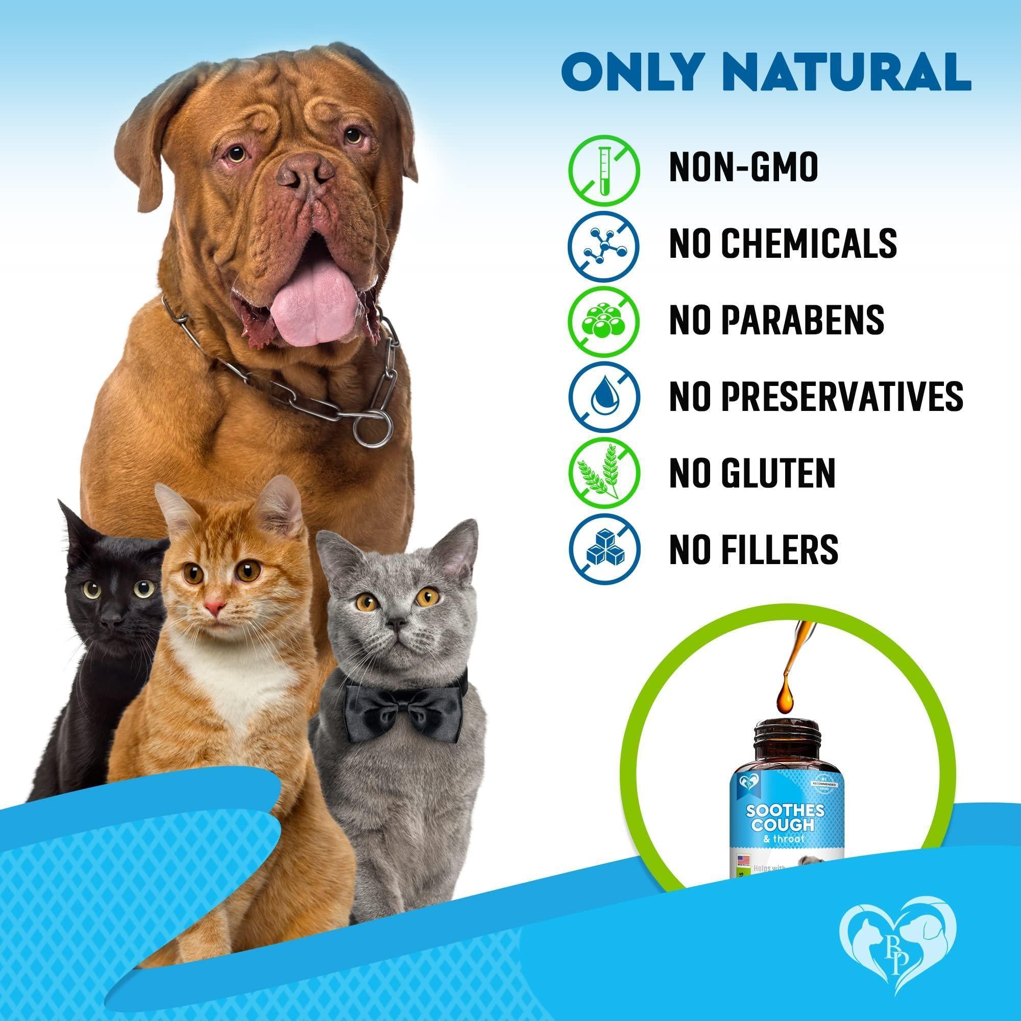 Kennel Cough Supplement for Dogs & Cats Cold & Cough Relief Kennel Cough Supplement for Dogs & Cats Cold & Cough Relief