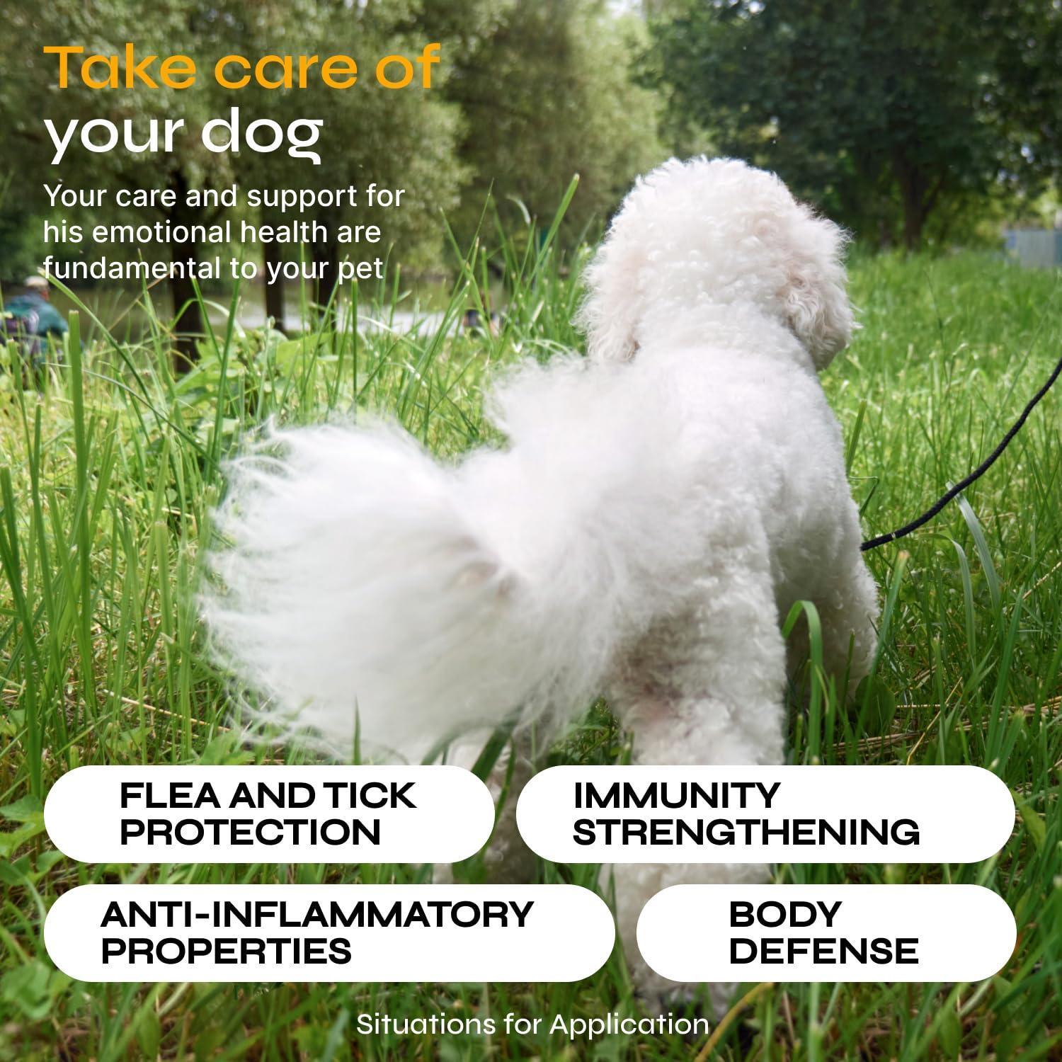 Flea and Tick Prevention for Dogs Dog Flea Treatment Chews Immune Support Flea and Tick Chewables for Dogs Dog Flea & Tick Control Supplement All Breeds & Ages Vet Formulated Soft Treats Flea and Tick Prevention for Dogs Dog Flea Treatment Chews Immune Support Flea and Tick Chewables for Dogs Dog Flea & Tick Control Supplement All Breeds & Ages Vet Formulated Soft Treats