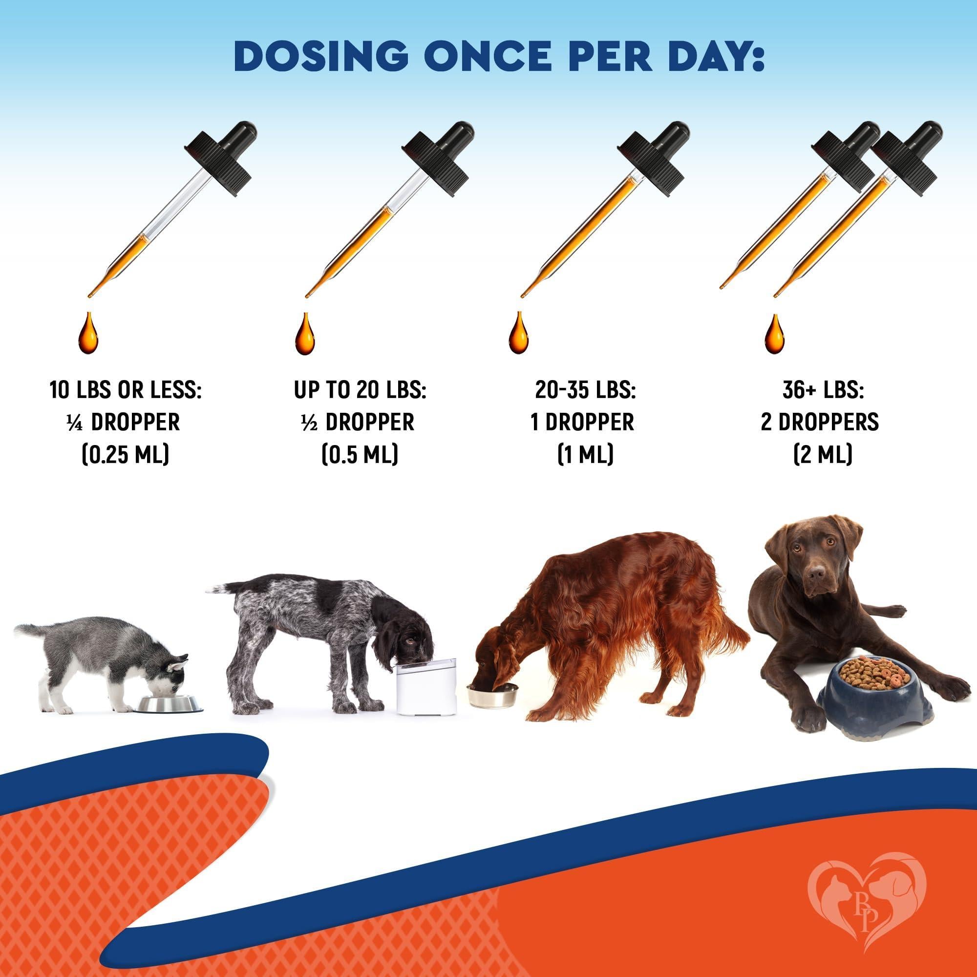 Dog Yeast & Anti-Itch Supplement Drops Skin Ears & Allergy Relief Dog Yeast & Anti-Itch Supplement Drops Skin Ears & Allergy Relief