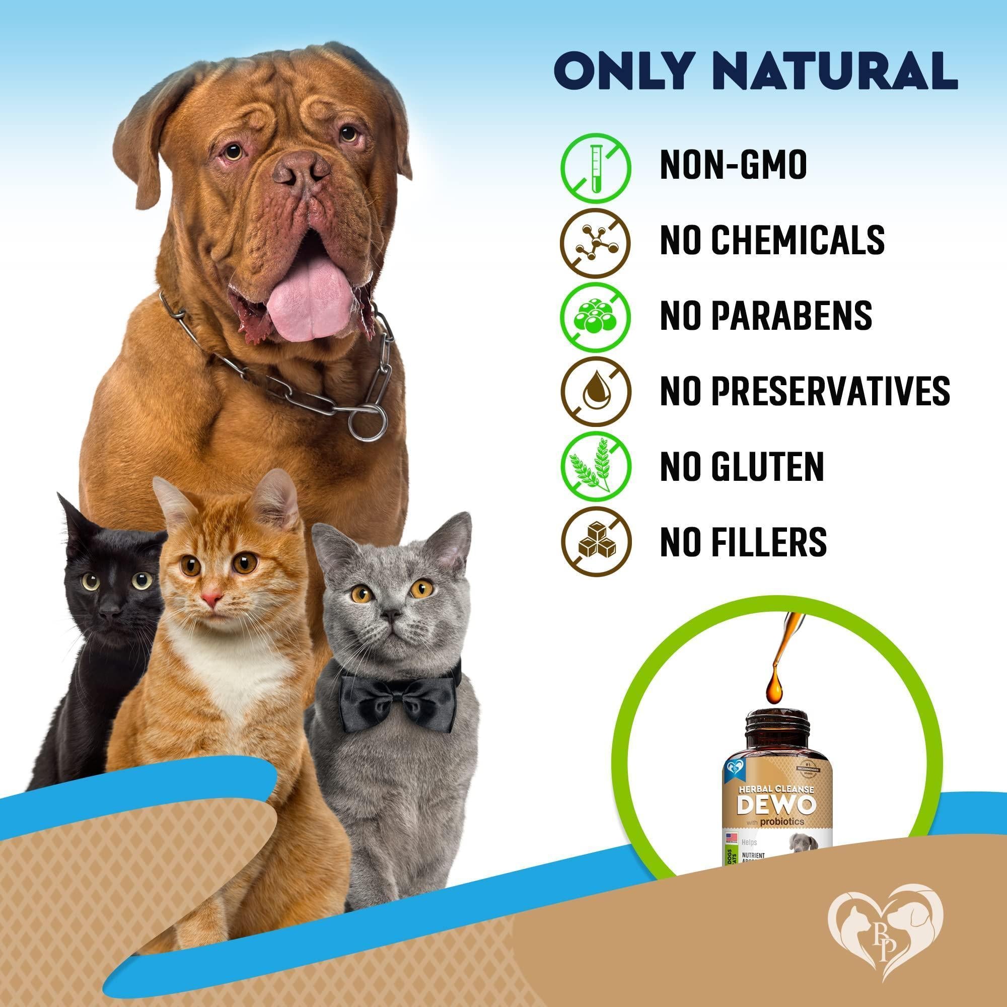 Worm Treatment for Cats & Dogs Liquid Herbal Supplement with Probiotic Worm Treatment for Cats & Dogs Liquid Herbal Supplement with Probiotic
