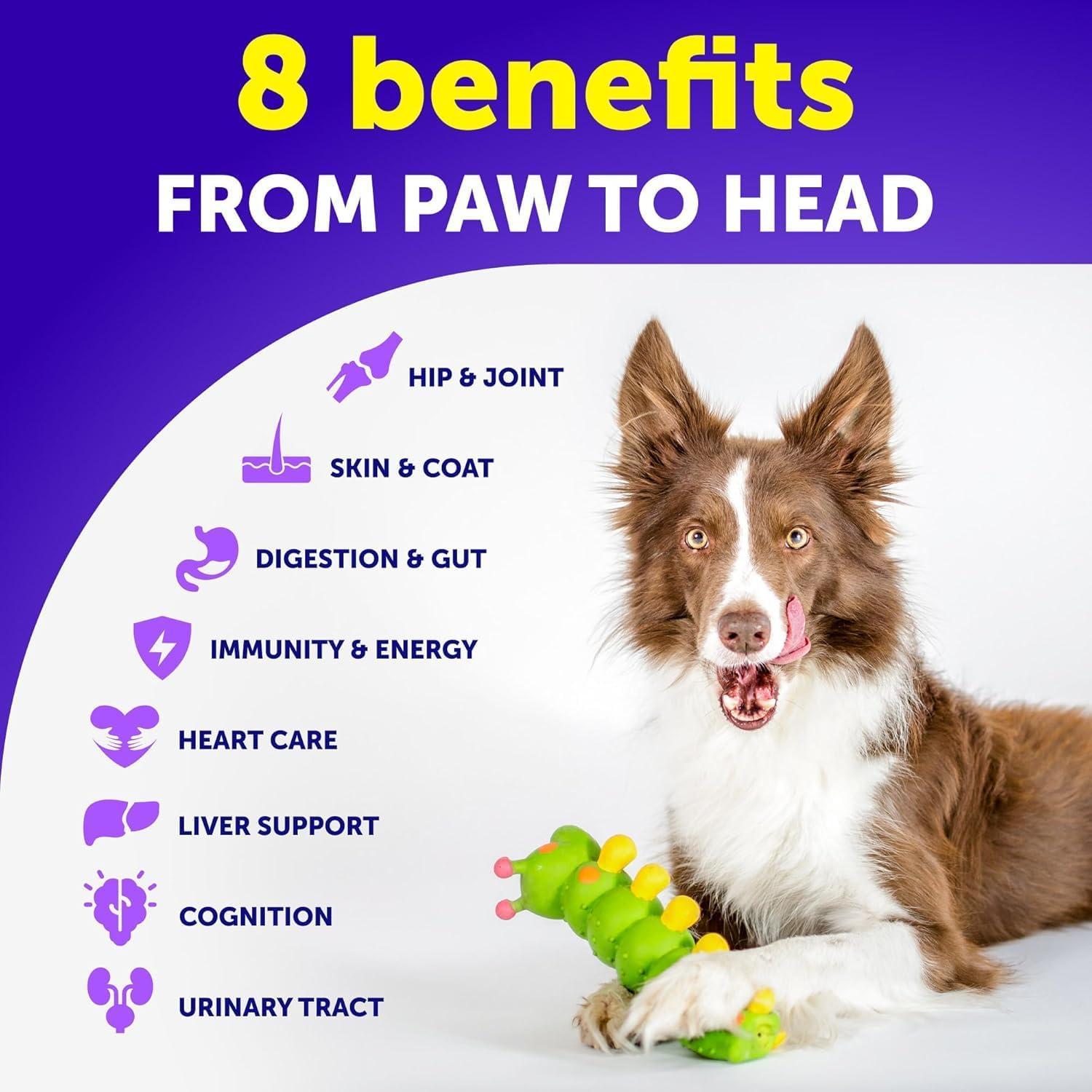 Dog Multivitamin Chews with Glucosamine 20-in-1 Dog Multivitamin Chews with Glucosamine 20-in-1